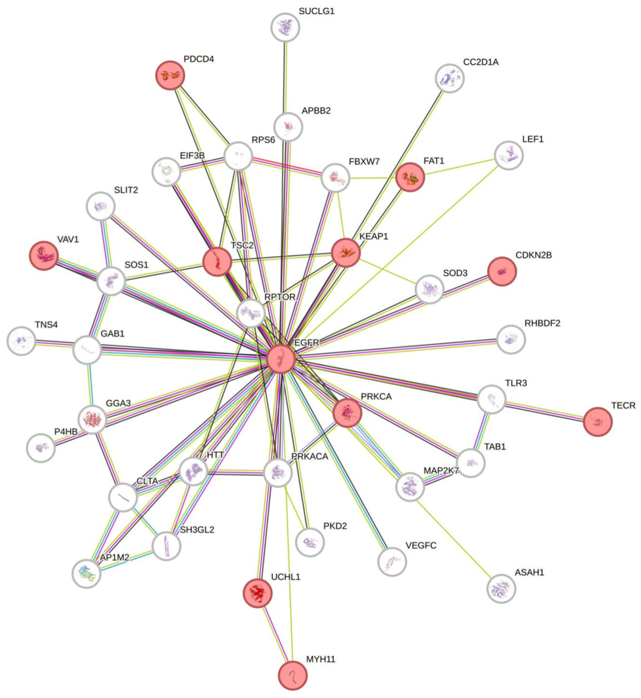 Genes 15 00620 g004 Genes 15 00620 g004