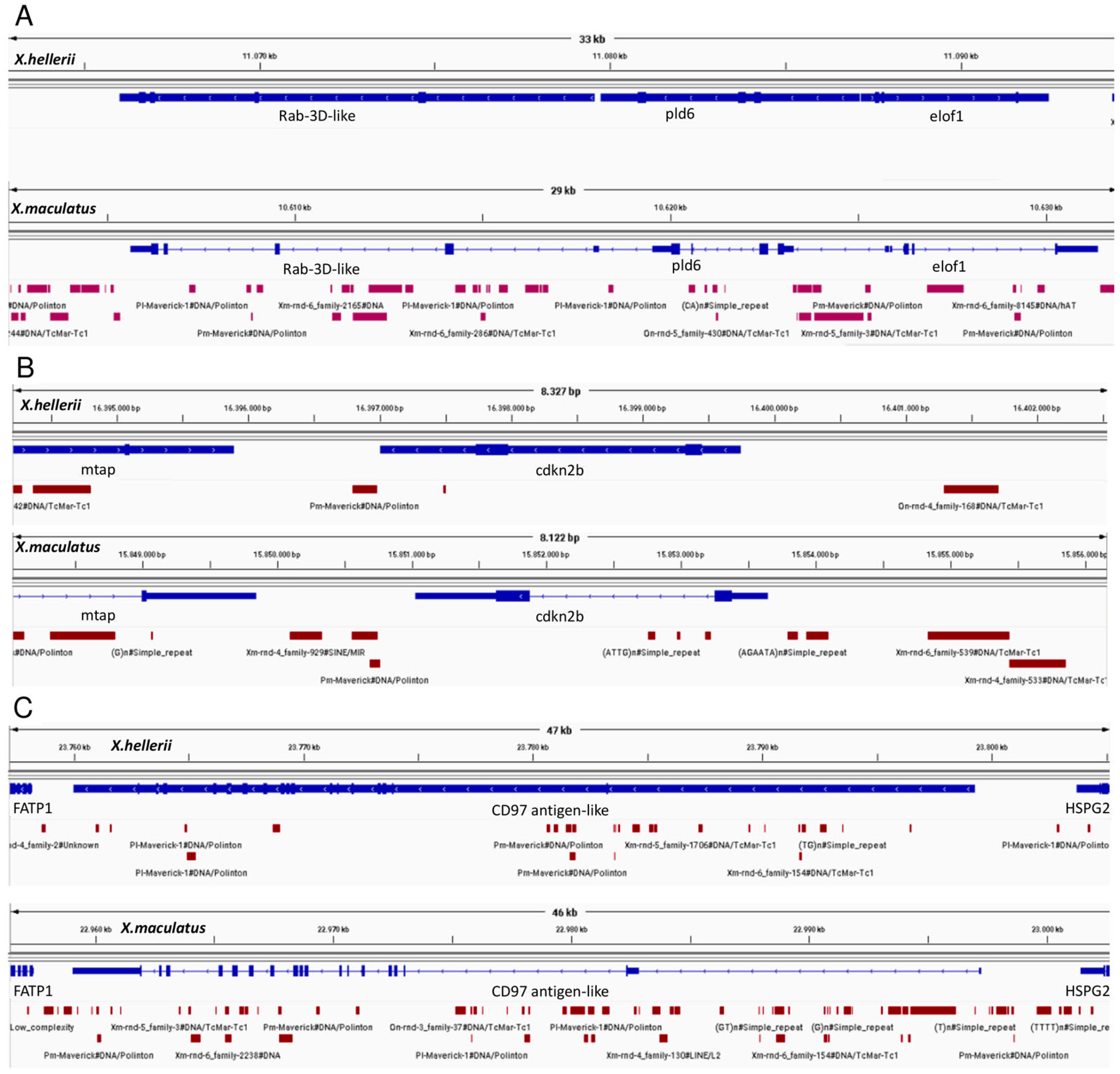 Genes 15 00620 g005 Genes 15 00620 g005