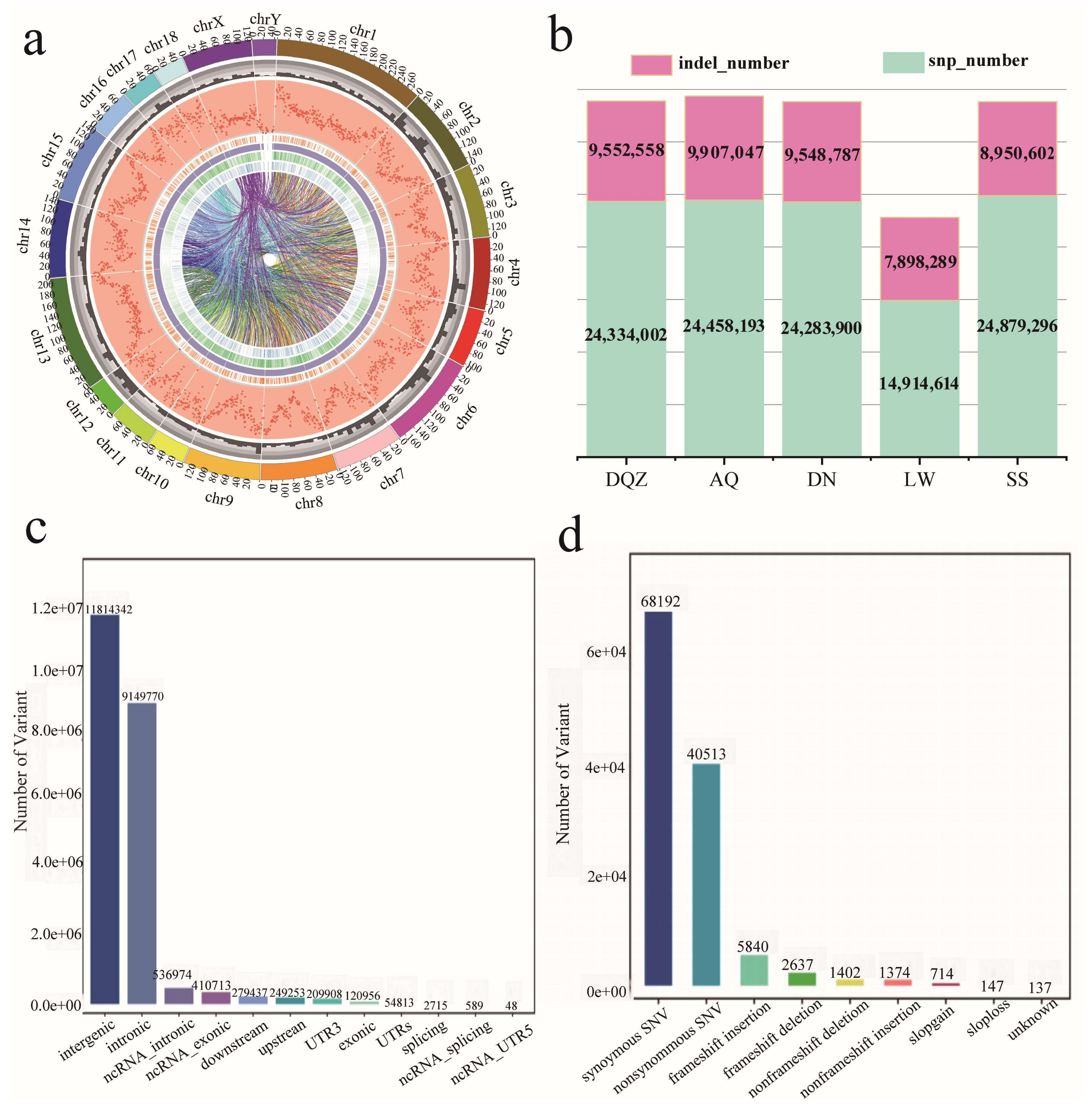 Genes 15 00623 g001