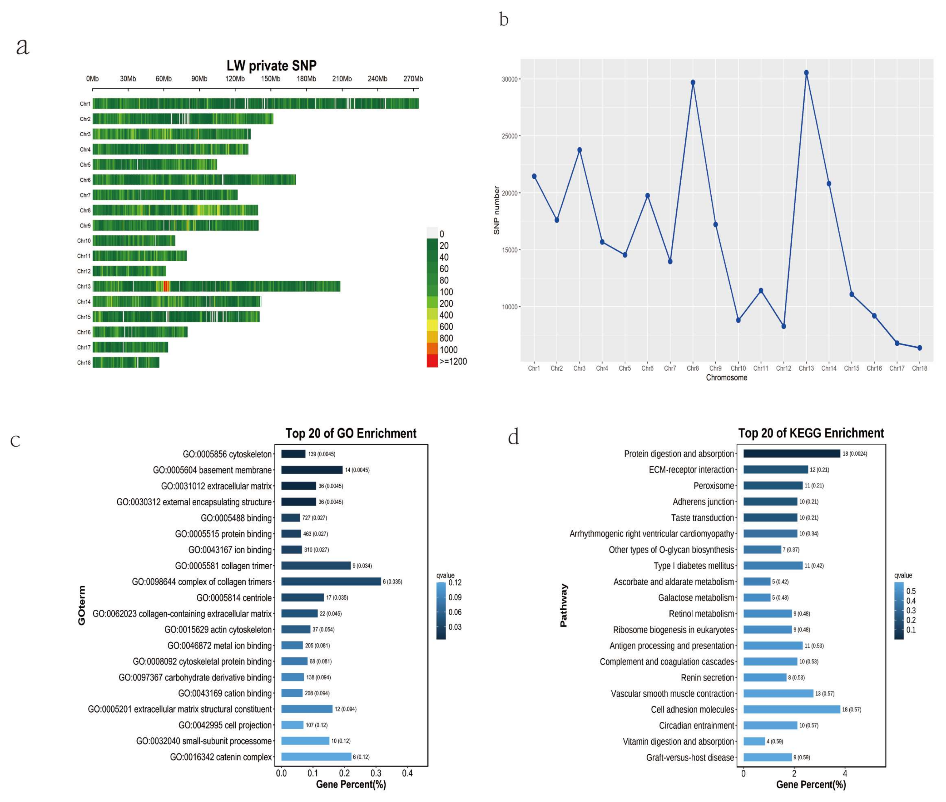 Genes 15 00623 g002