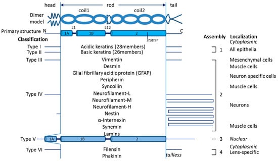 Genes 15 00633 g001 Genes 15 00633 g001