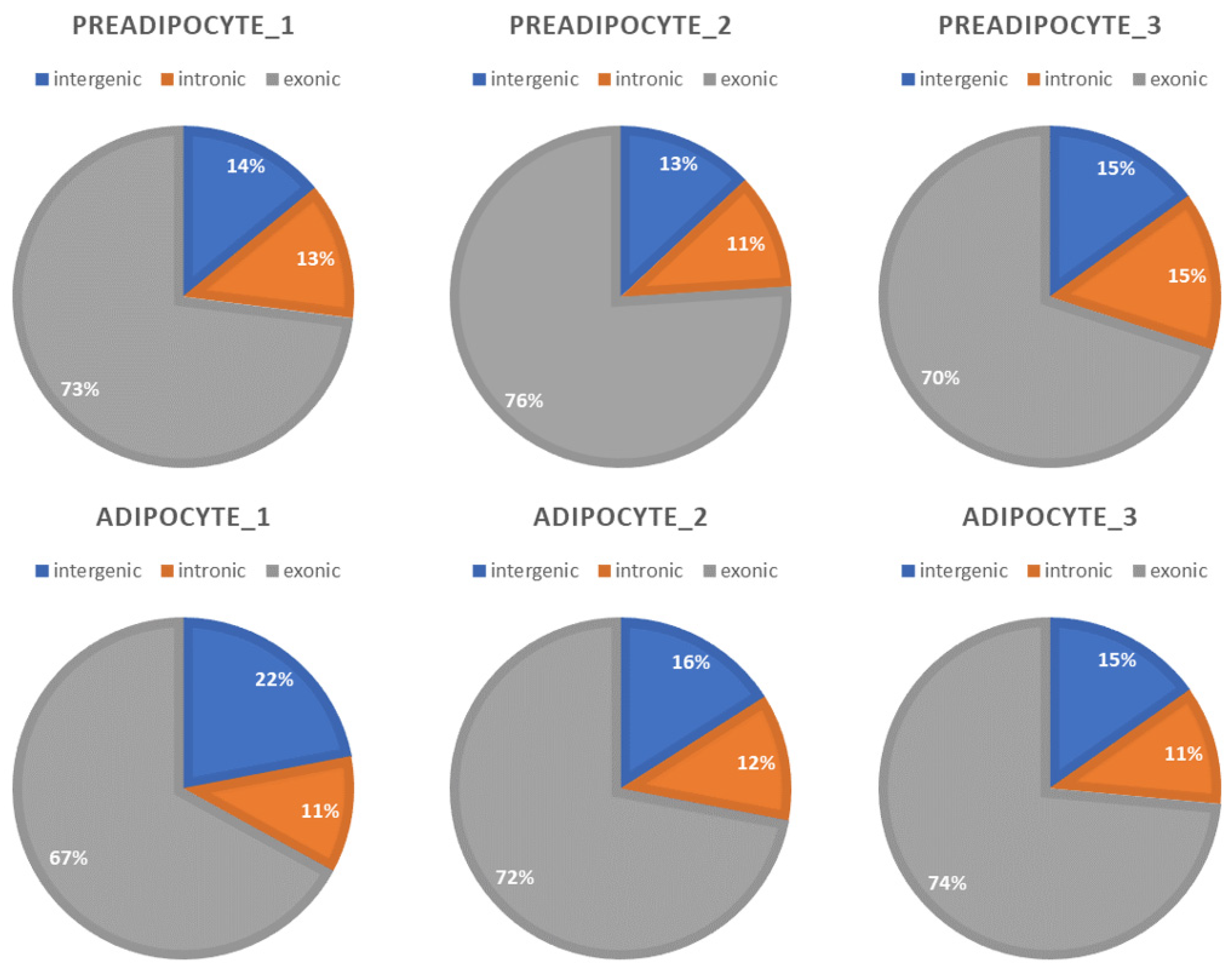 Genes 15 00640 g001 Genes 15 00640 g001