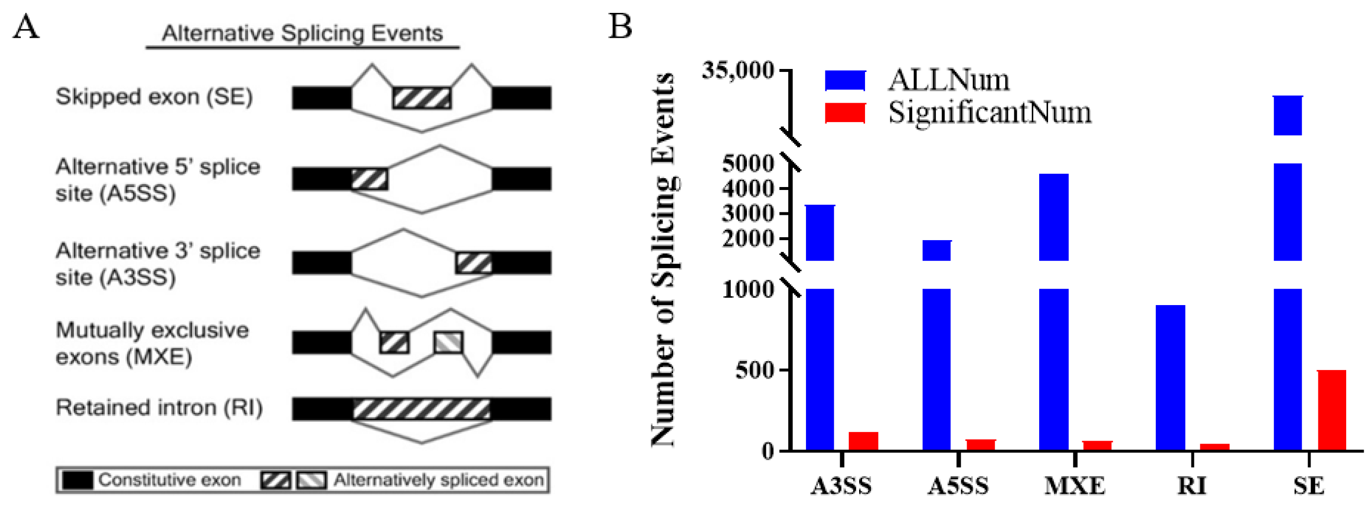 Genes 15 00640 g002 Genes 15 00640 g002