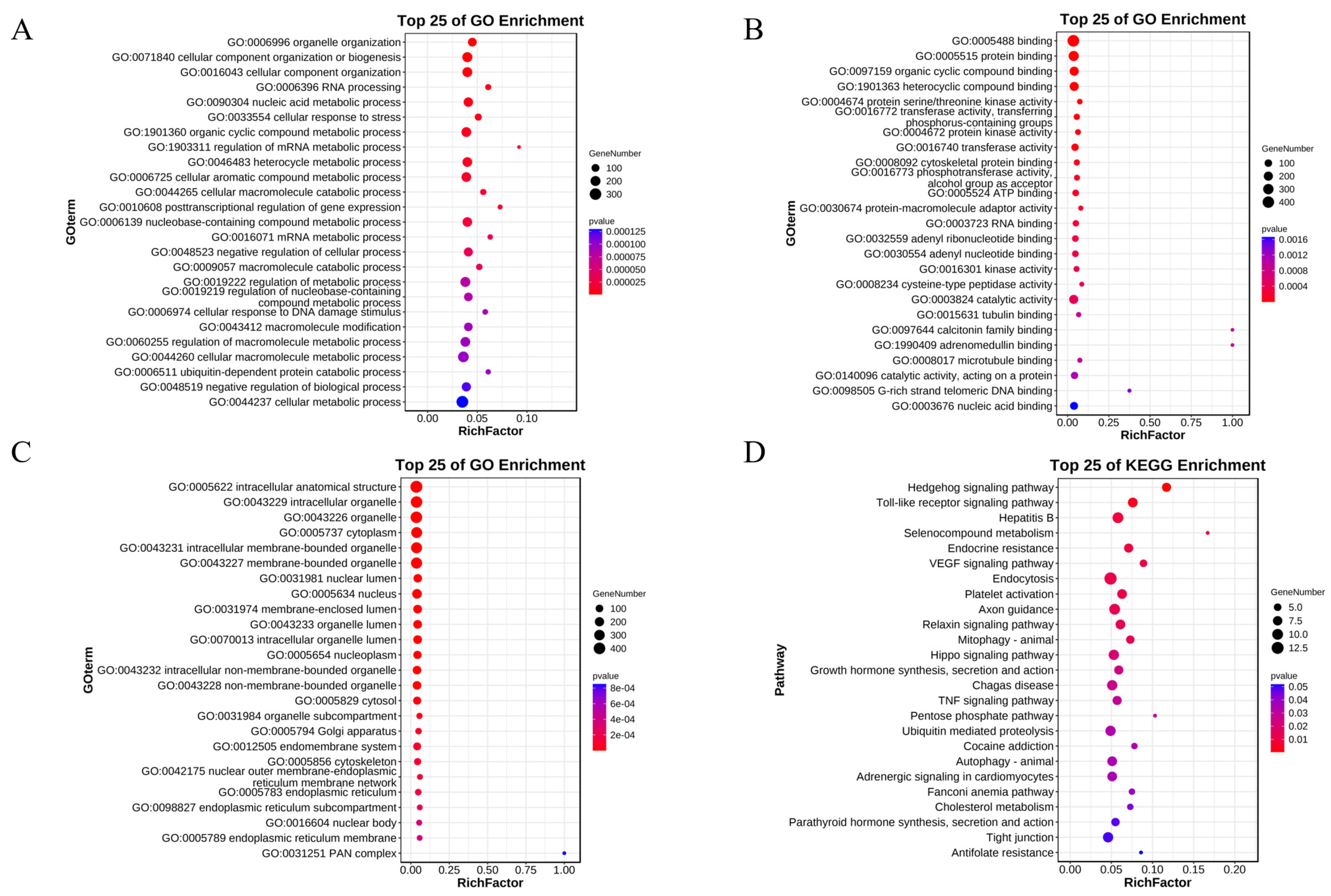 Genes 15 00640 g003 Genes 15 00640 g003