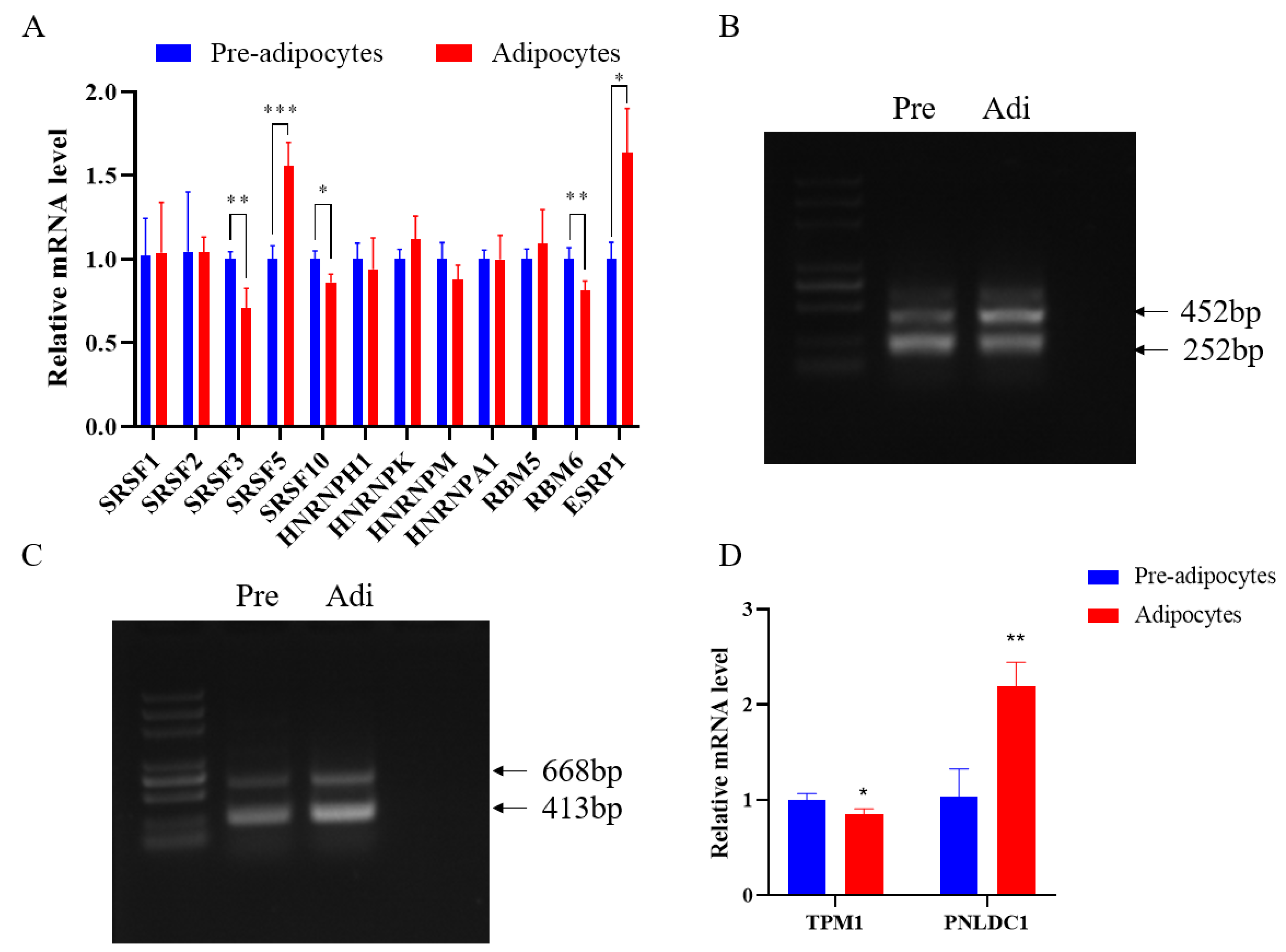 Genes 15 00640 g004 Genes 15 00640 g004