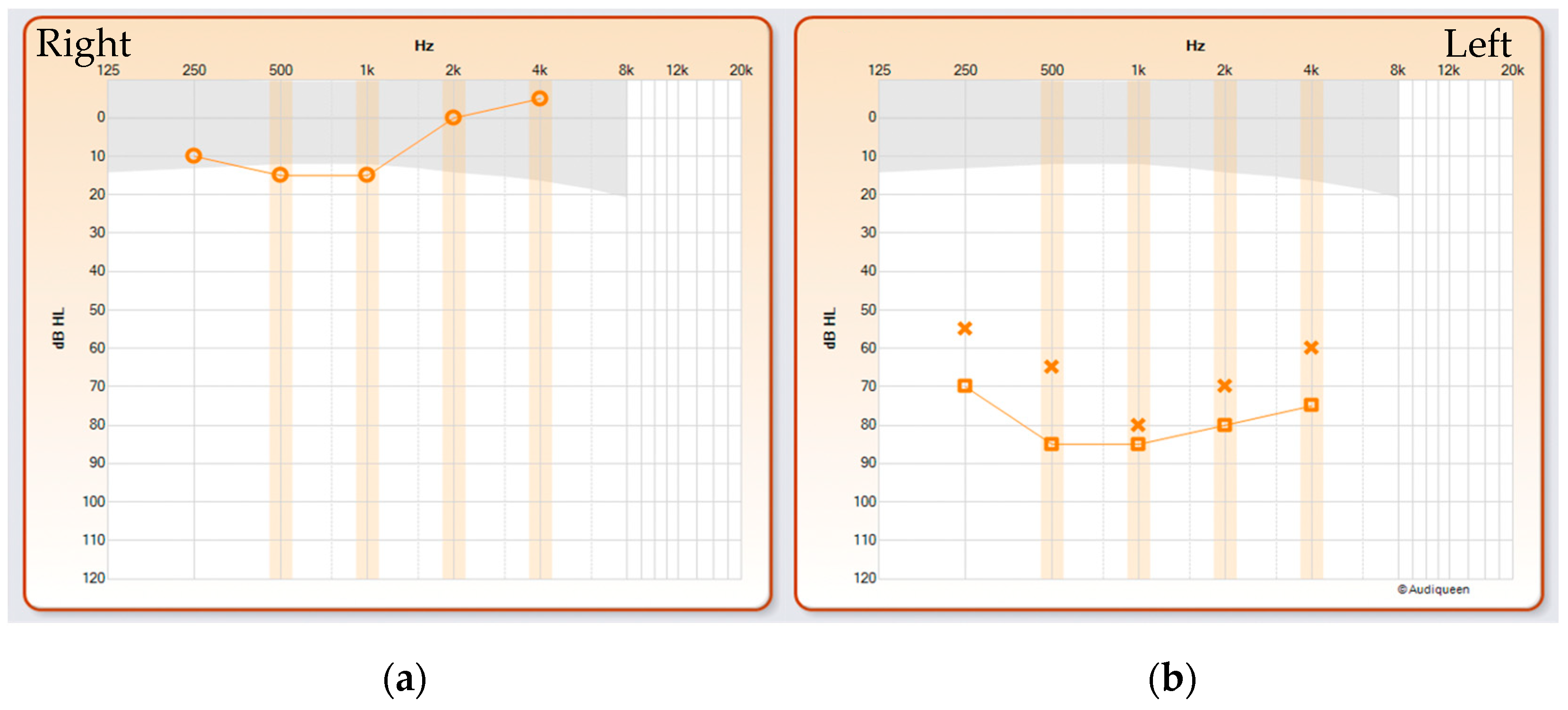 Genes 15 00643 g001 Genes 15 00643 g001