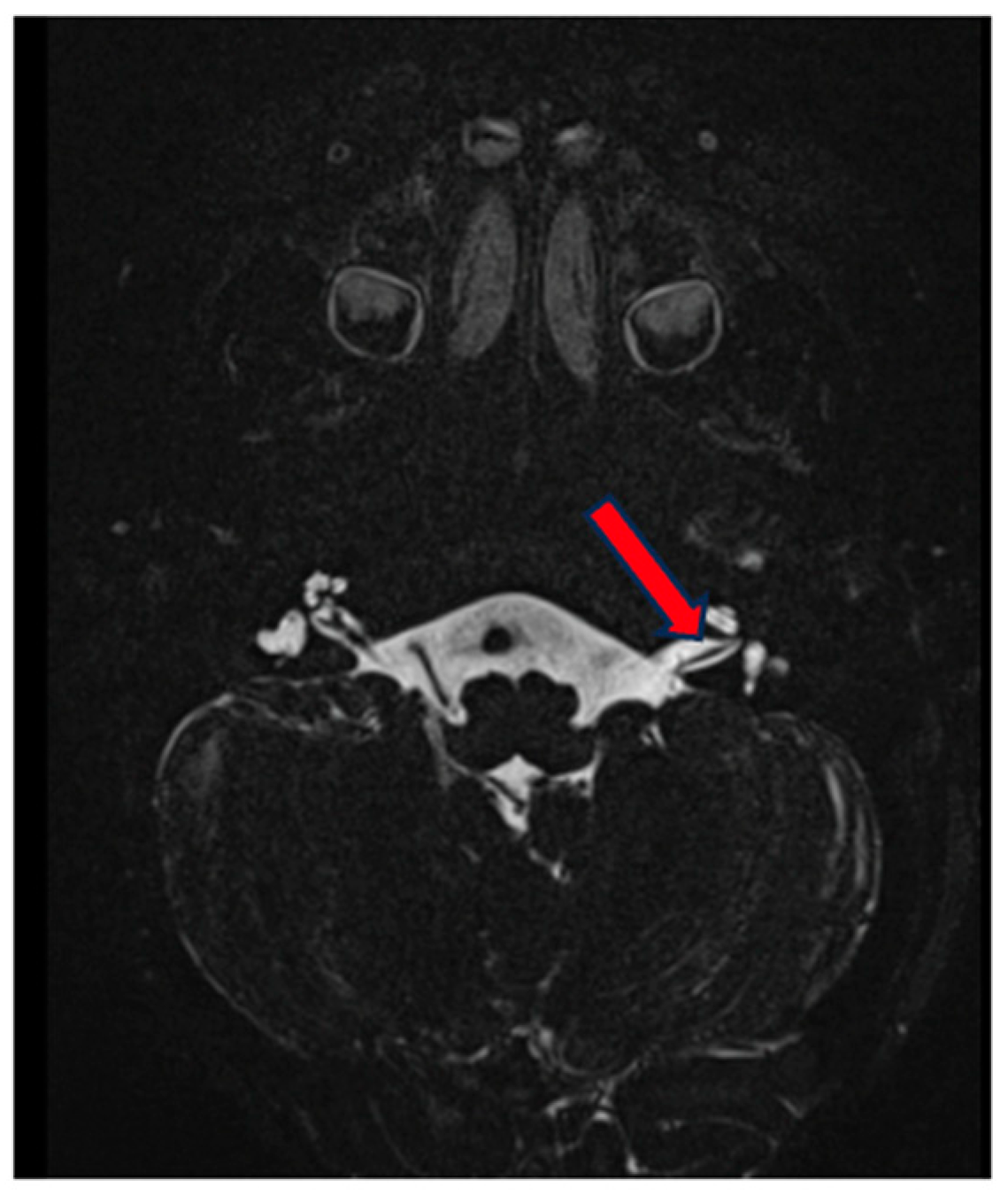 Genes 15 00643 g005 Genes 15 00643 g005