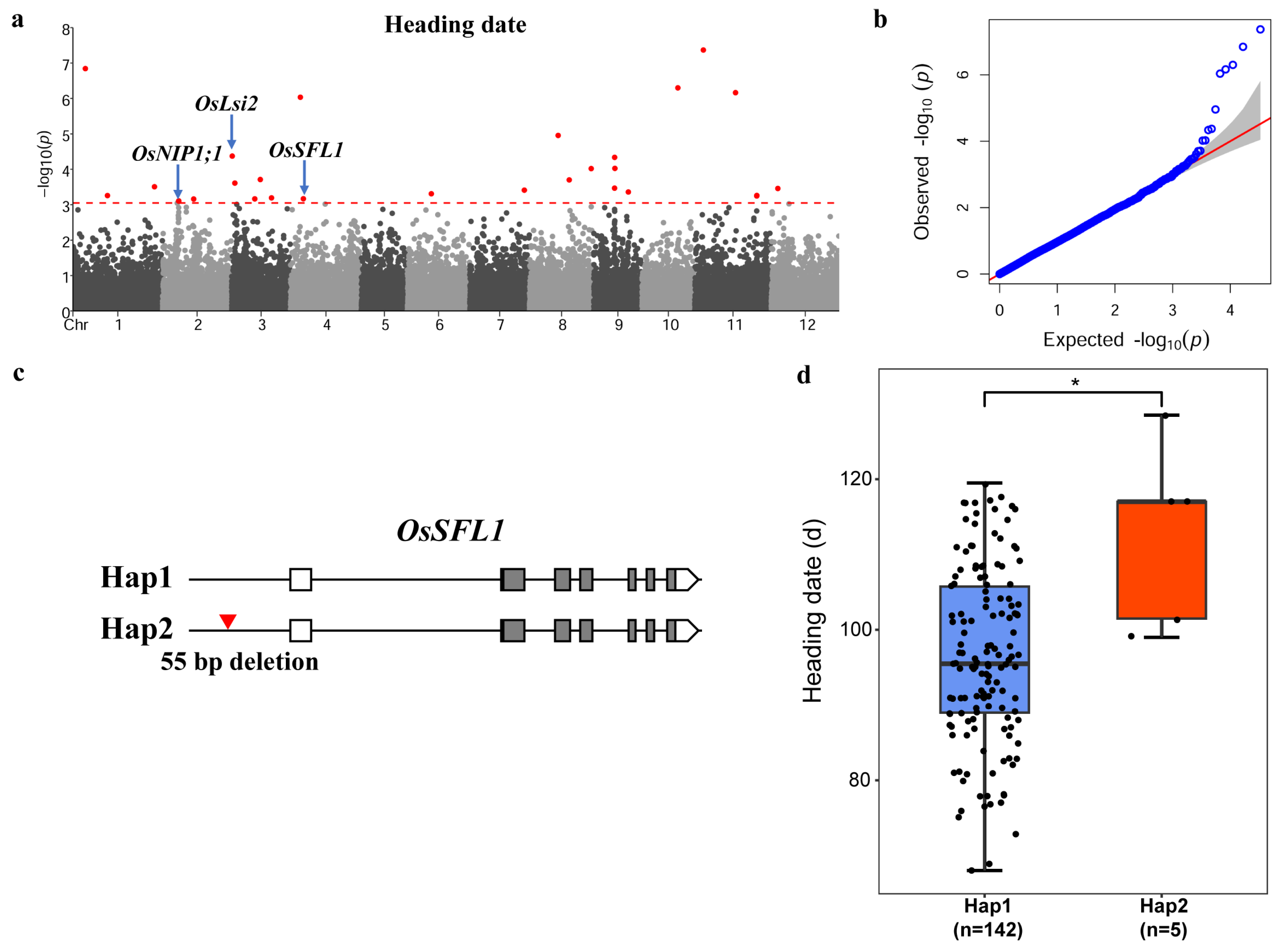 Genes 15 00645 g003