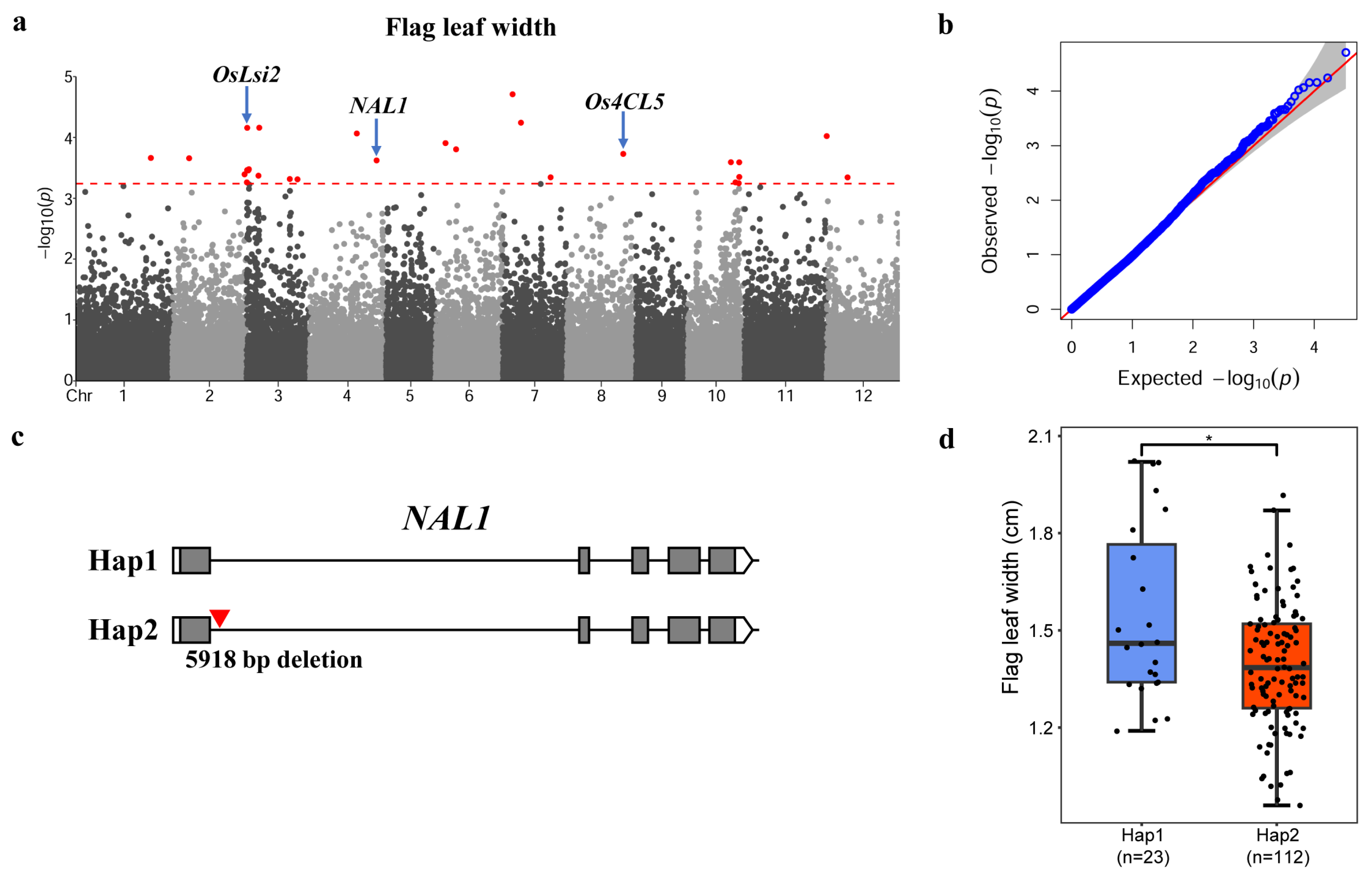 Genes 15 00645 g004