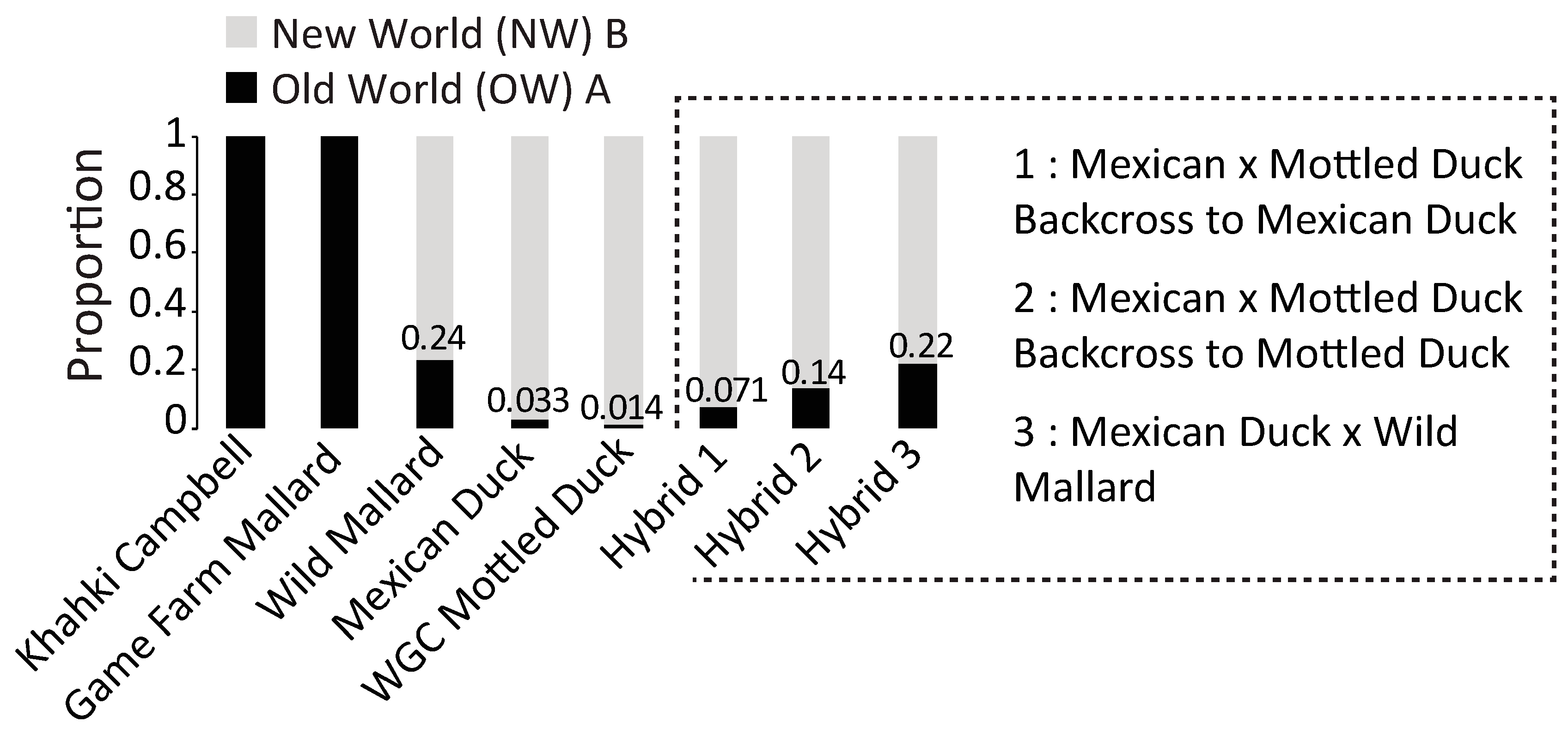 Genes 15 00651 g002 Genes 15 00651 g002