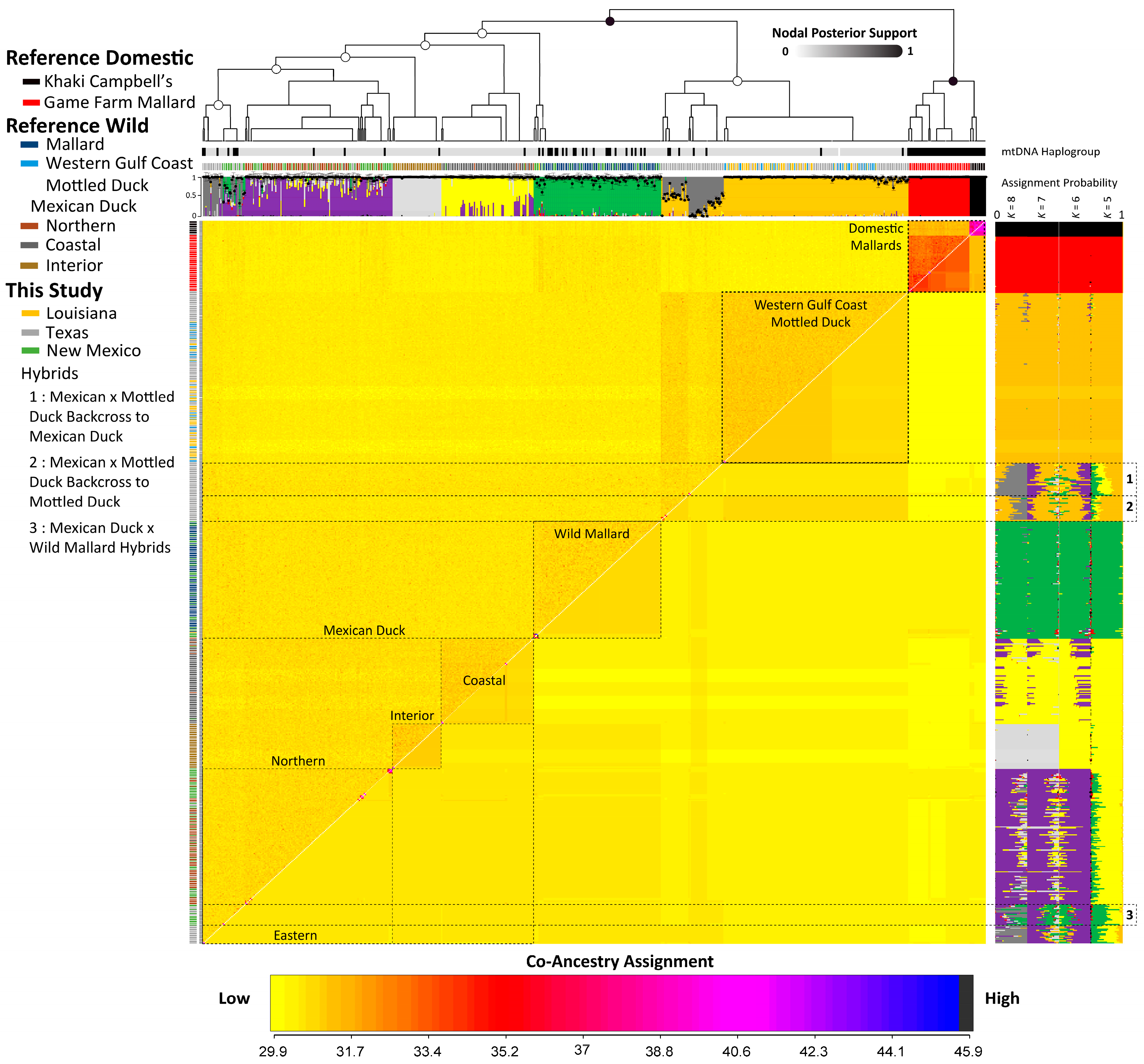 Genes 15 00651 g004 Genes 15 00651 g004
