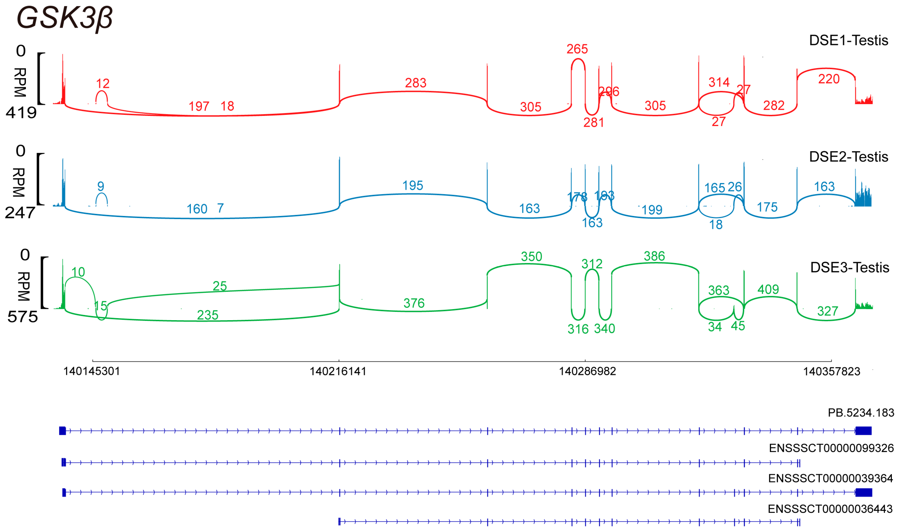 Genes 15 00655 g001 Genes 15 00655 g001