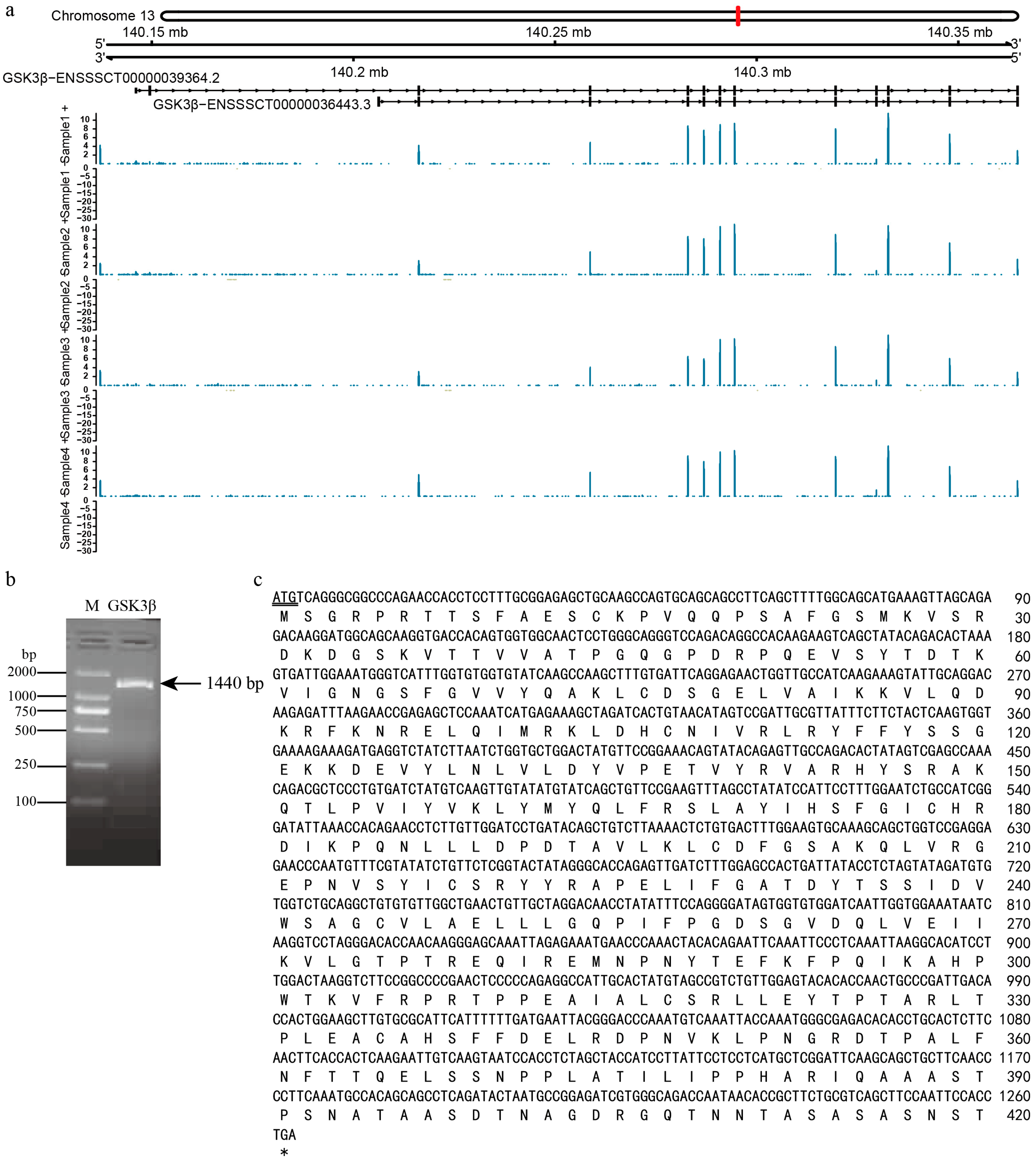 Genes 15 00655 g002 Genes 15 00655 g002