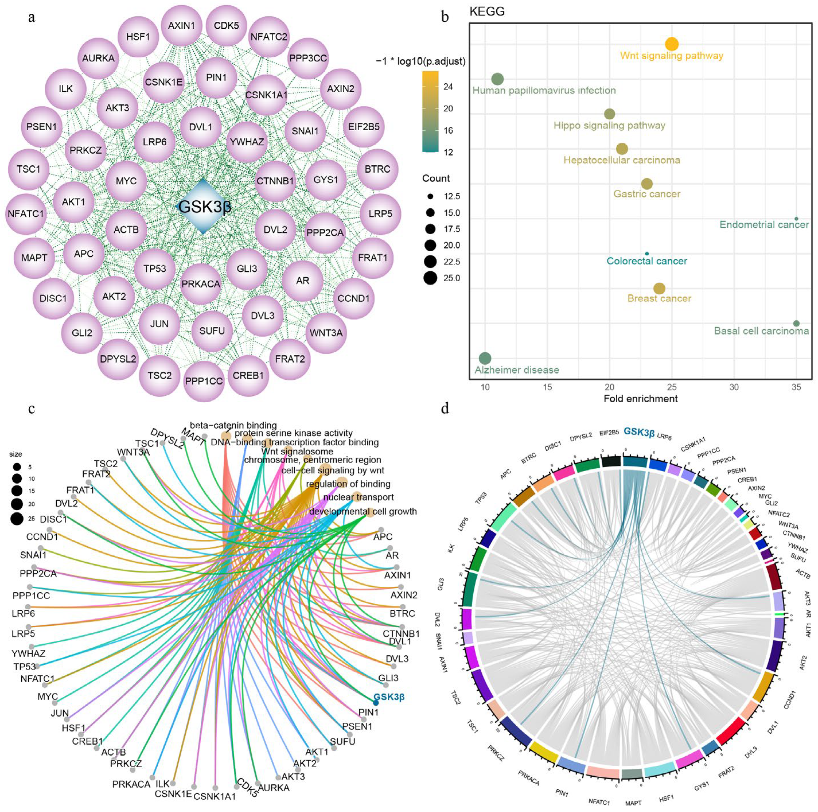 Genes 15 00655 g004 Genes 15 00655 g004
