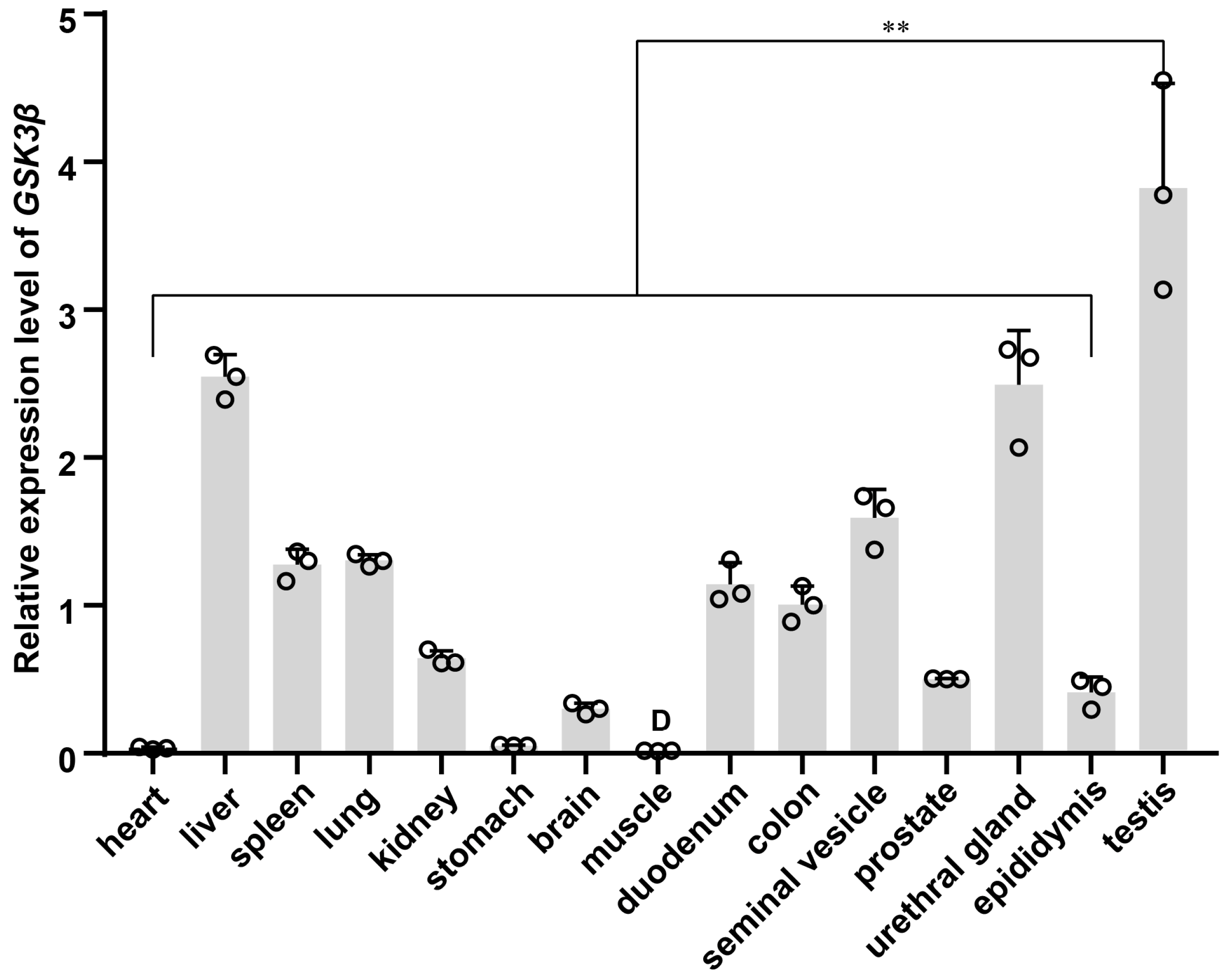 Genes 15 00655 g006 Genes 15 00655 g006