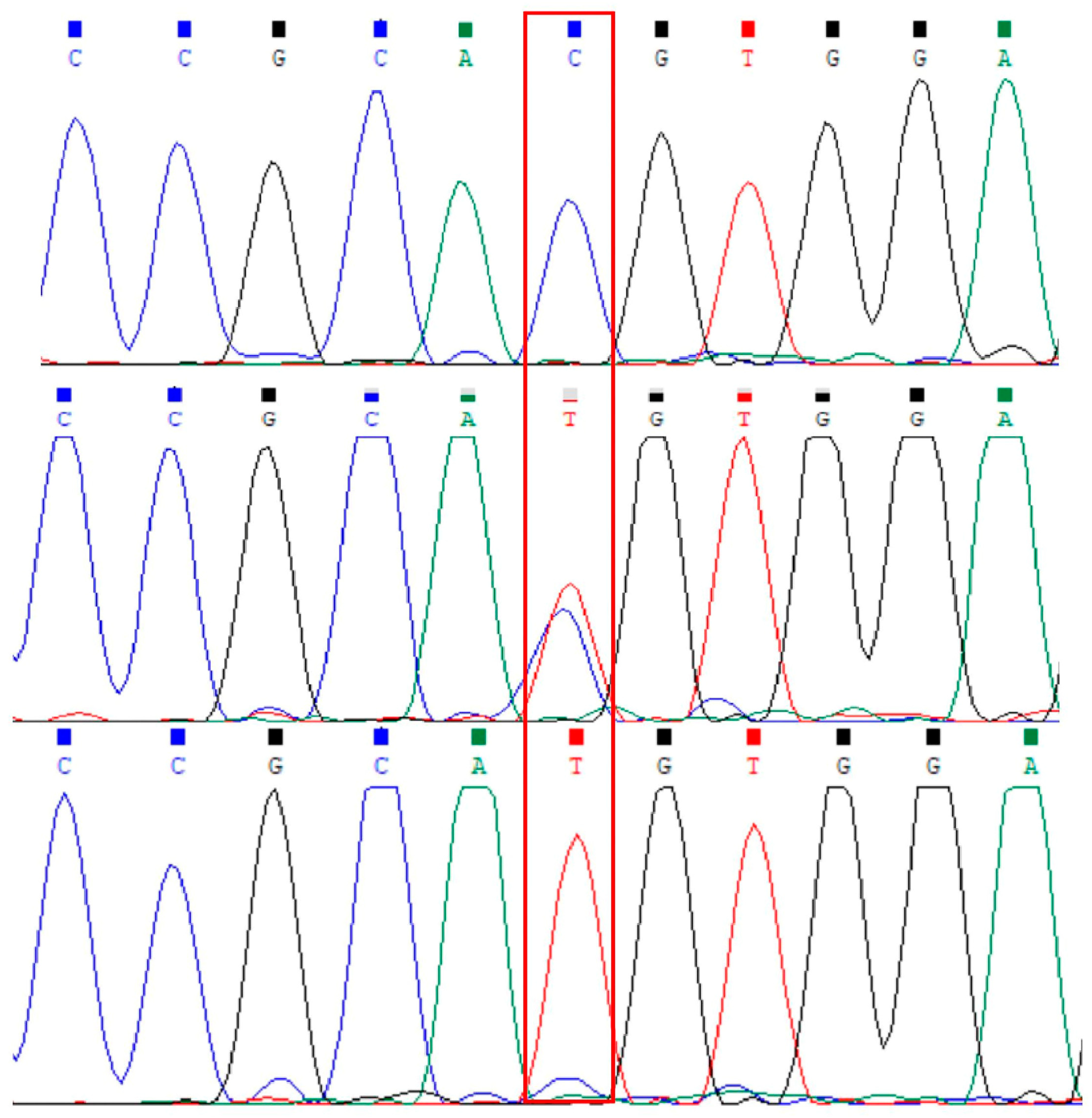 Genes 15 00656 g002 Genes 15 00656 g002