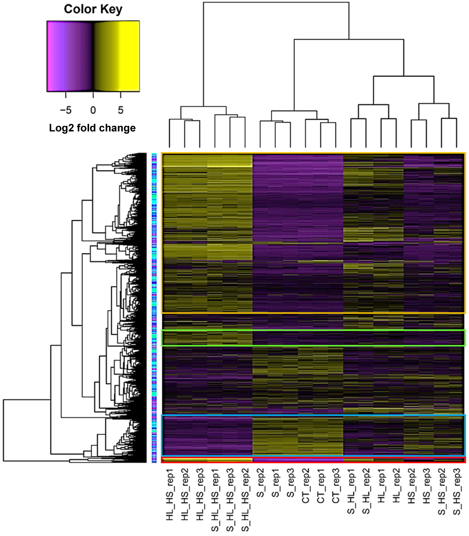 Genes 15 00675 g001