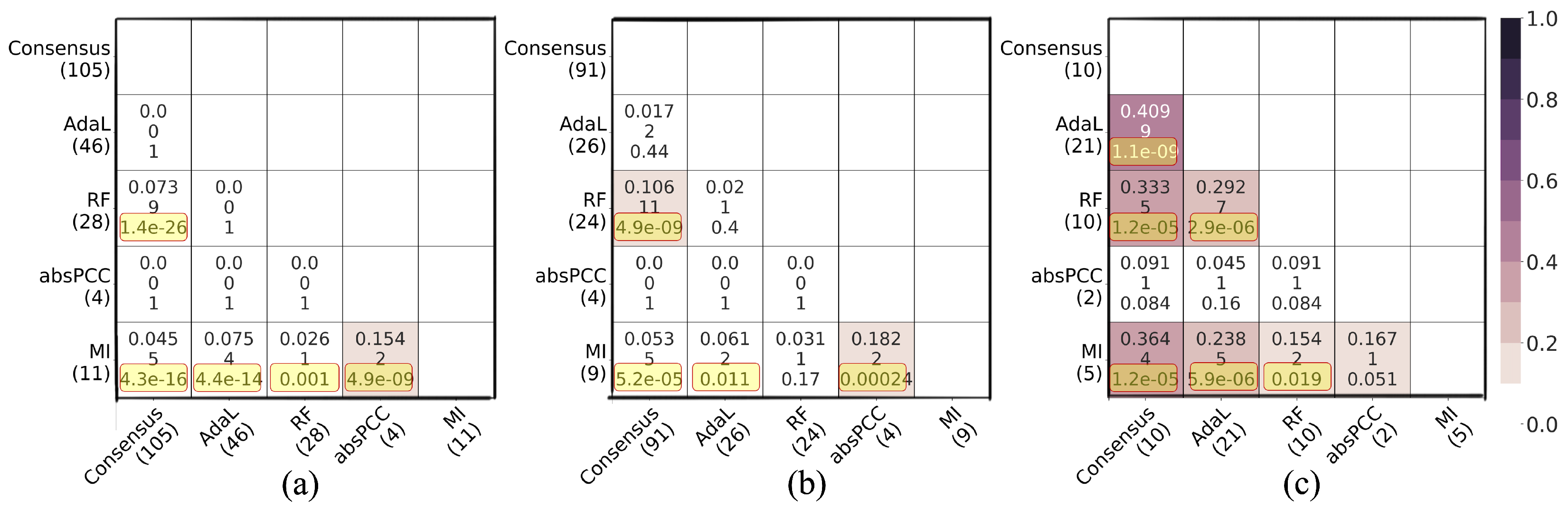Genes 15 00685 g005 Genes 15 00685 g005
