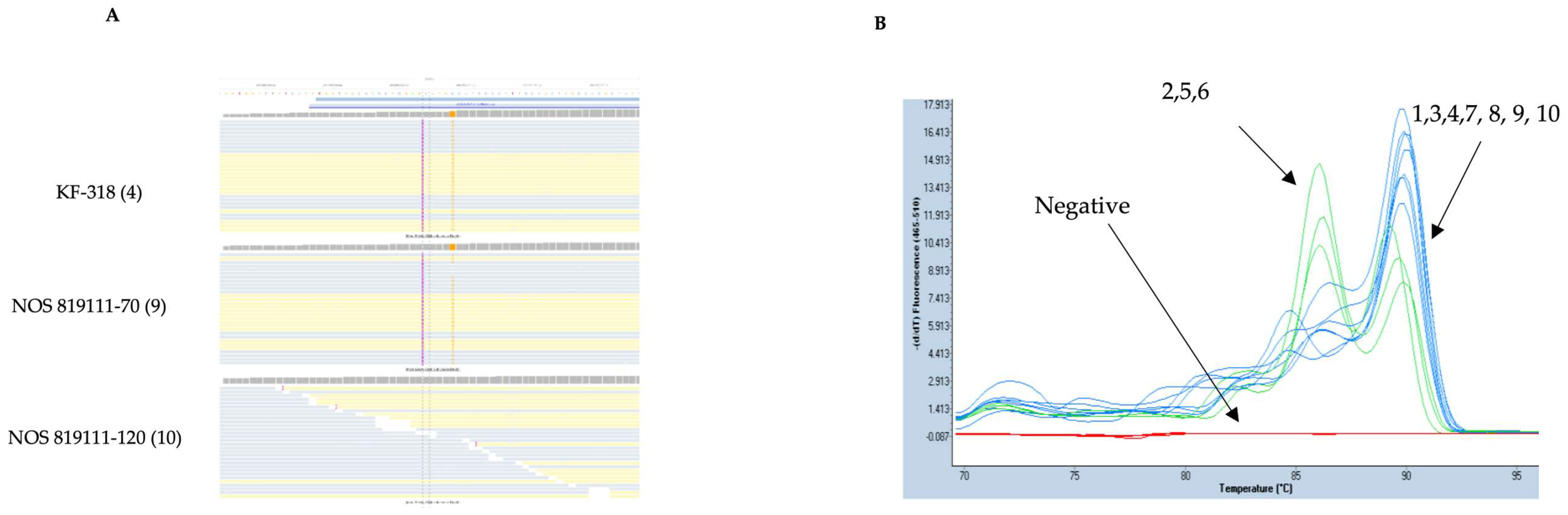 Genes 15 00700 g005