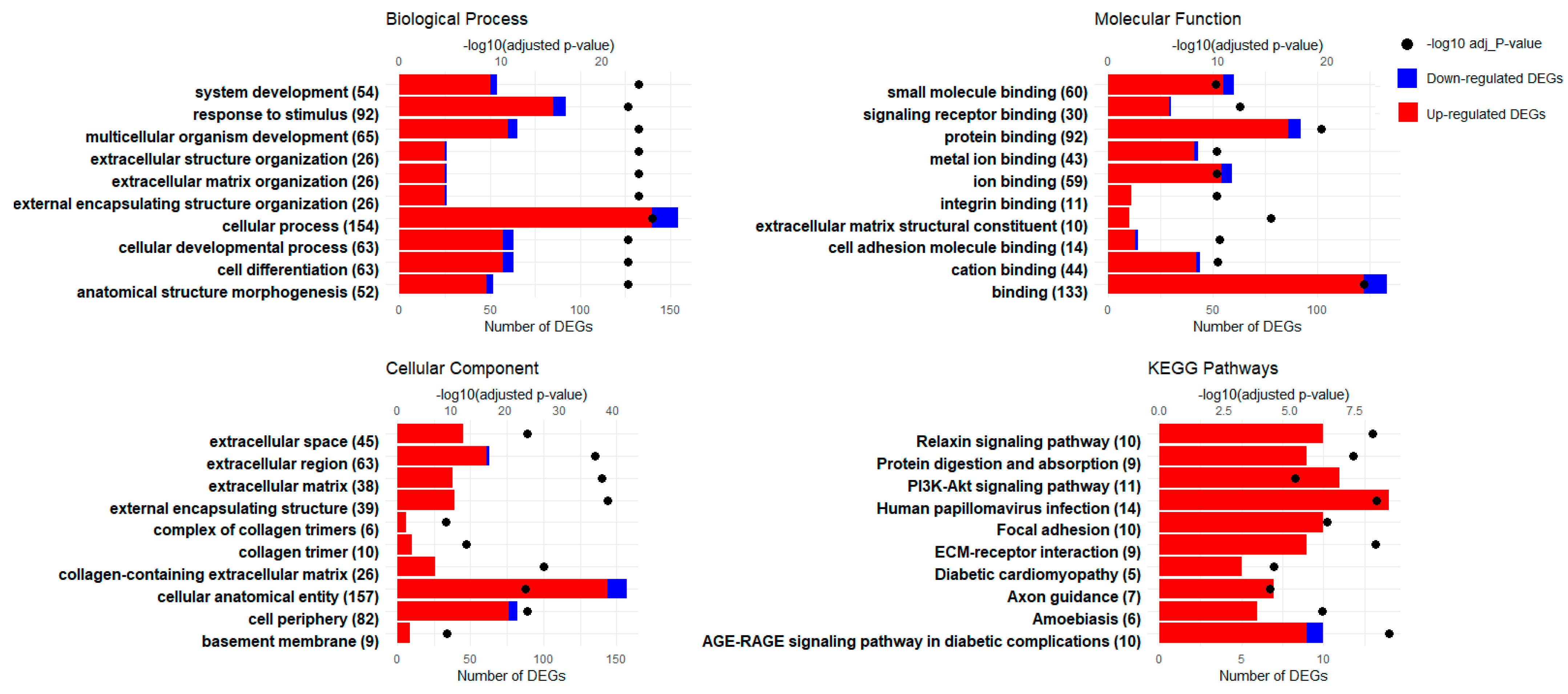 Genes 15 00704 g004