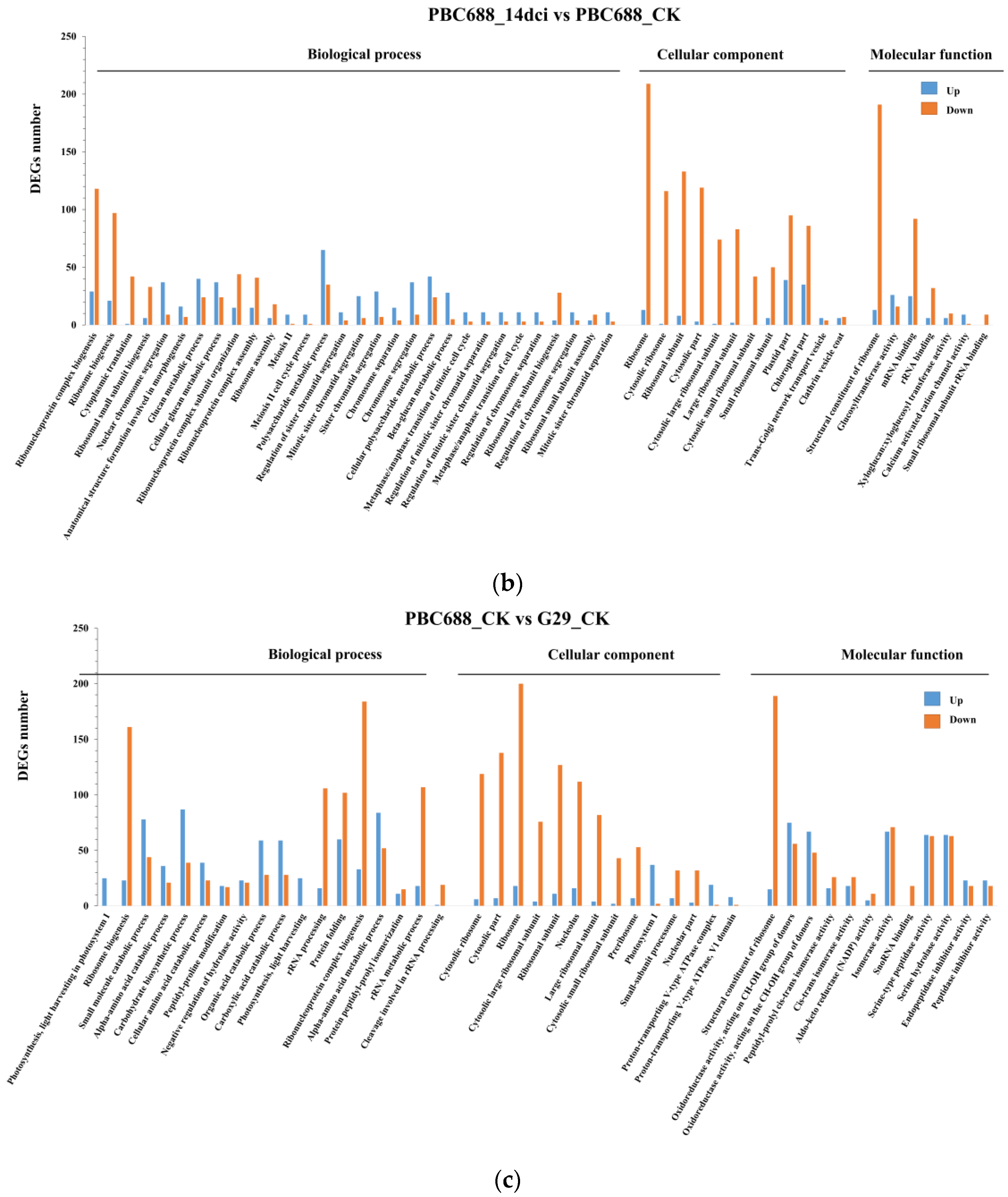 Genes 15 00731 g004b