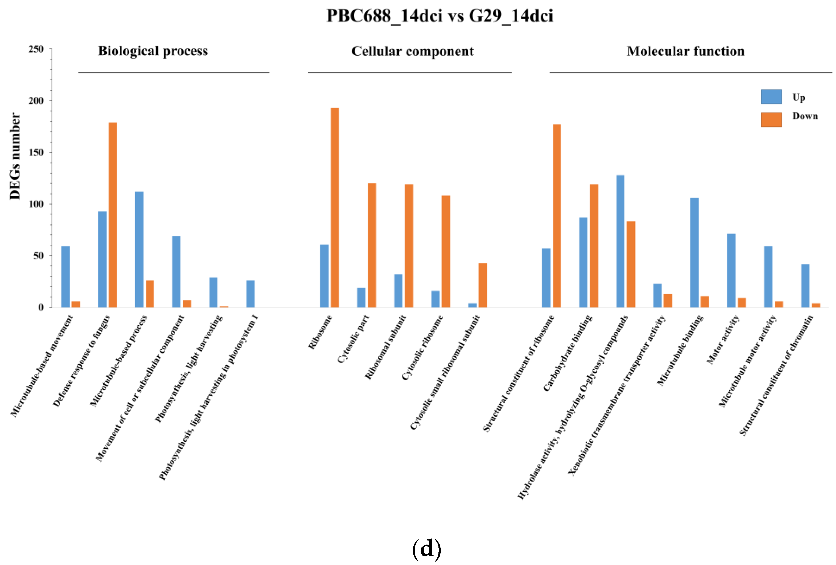 Genes 15 00731 g004c