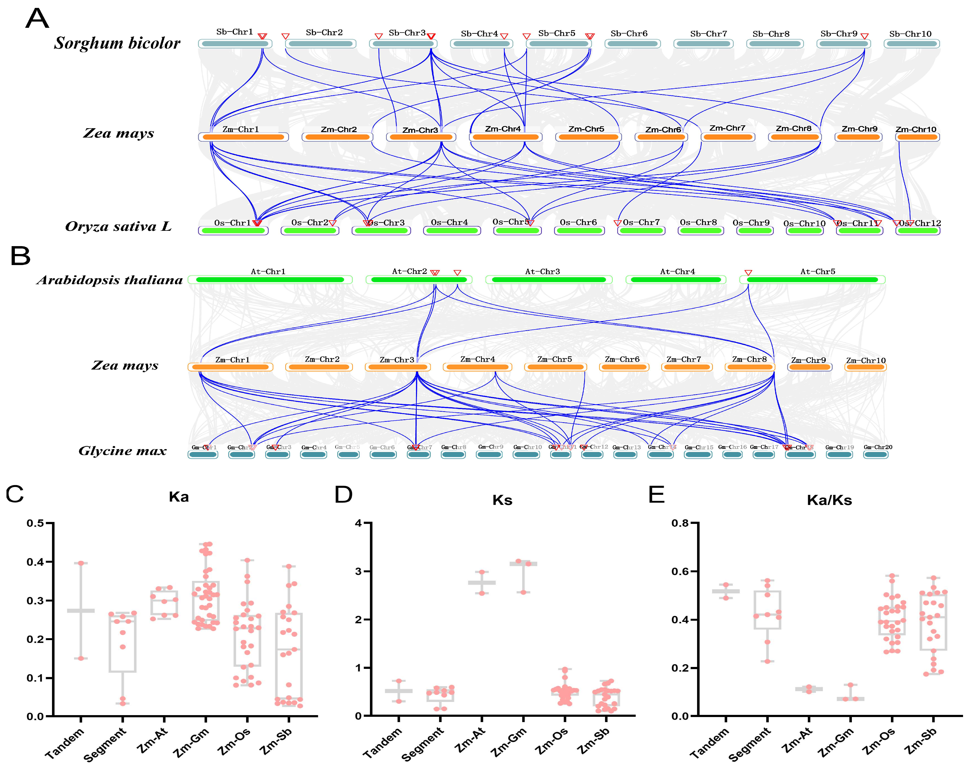 Genes 15 00749 g007