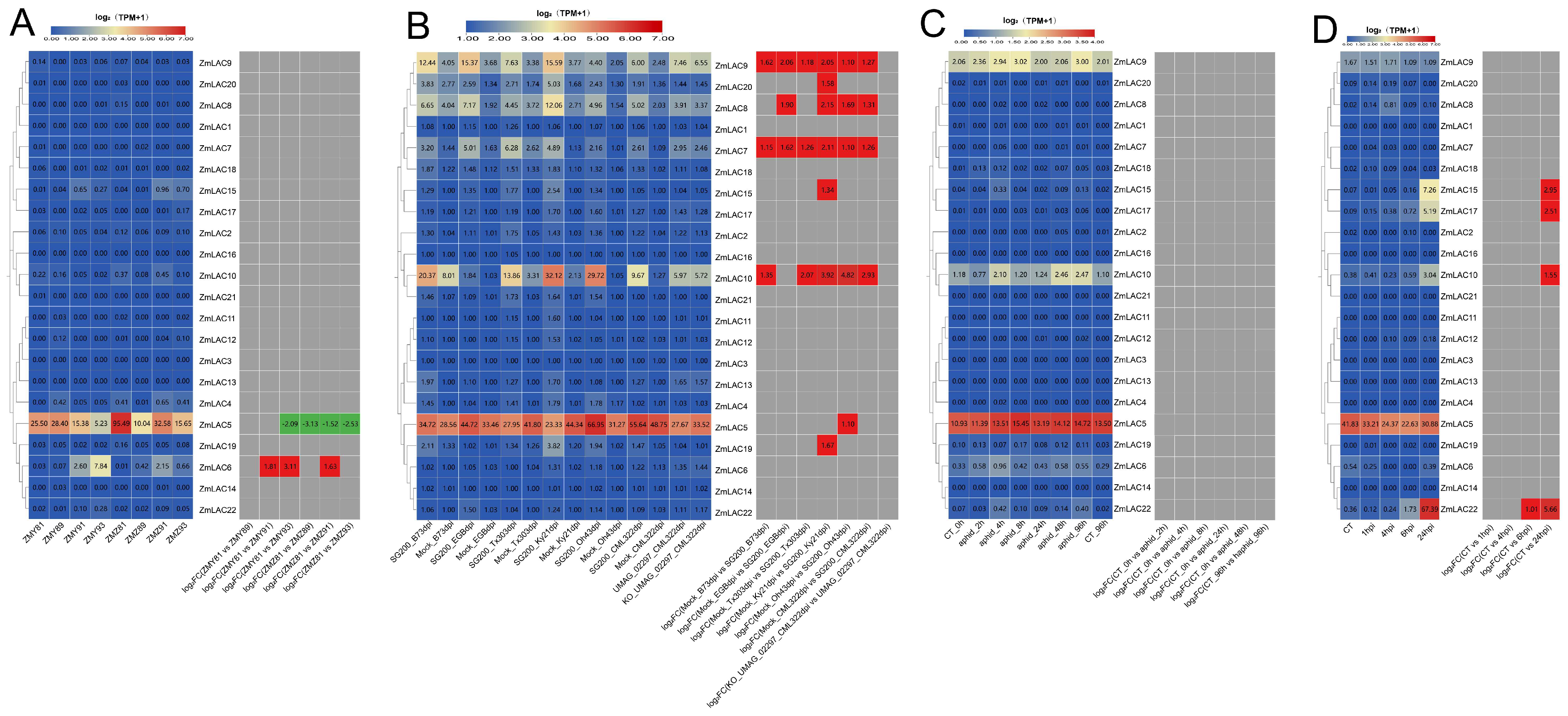 Genes 15 00749 g010