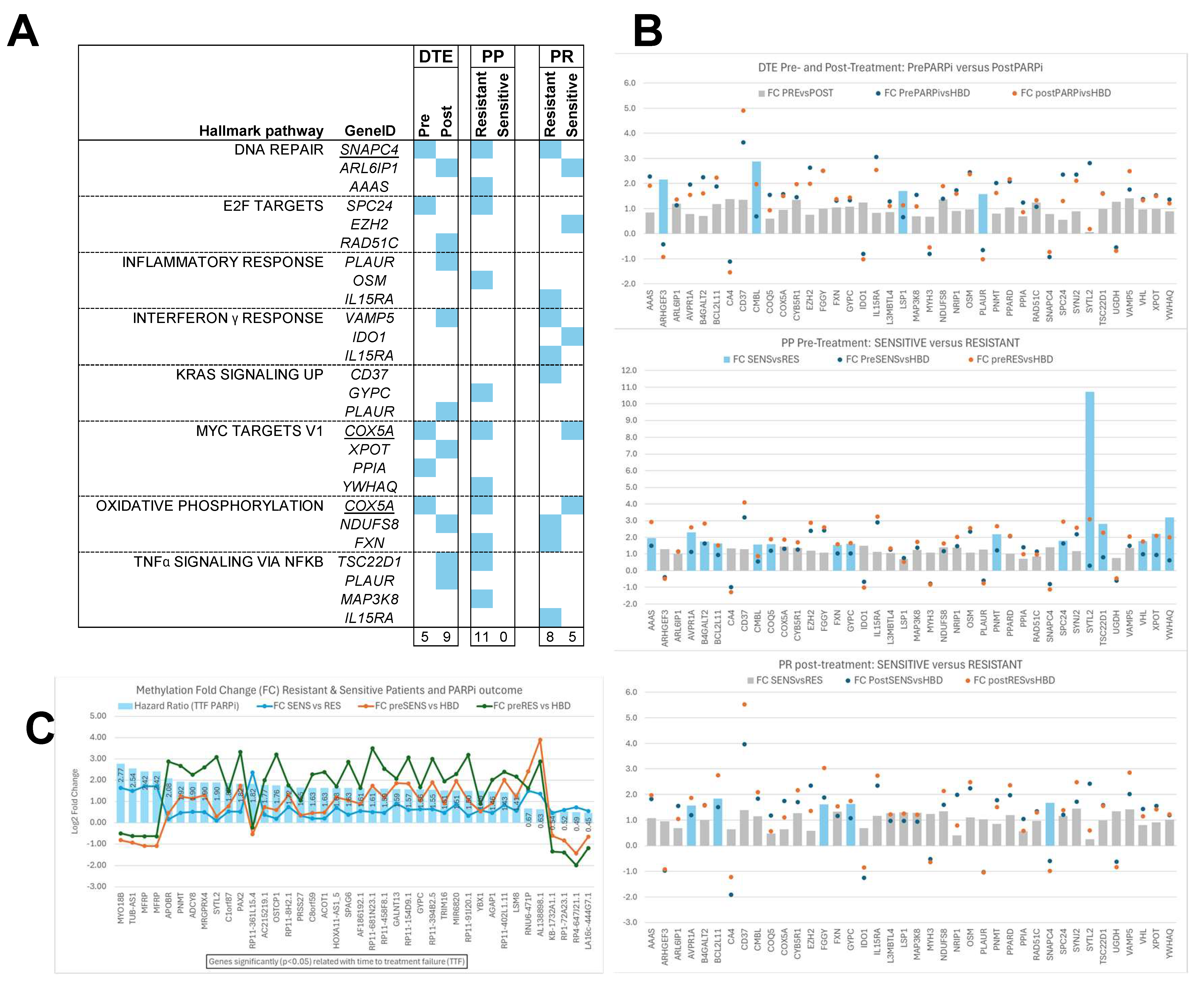 Genes 15 00750 g007