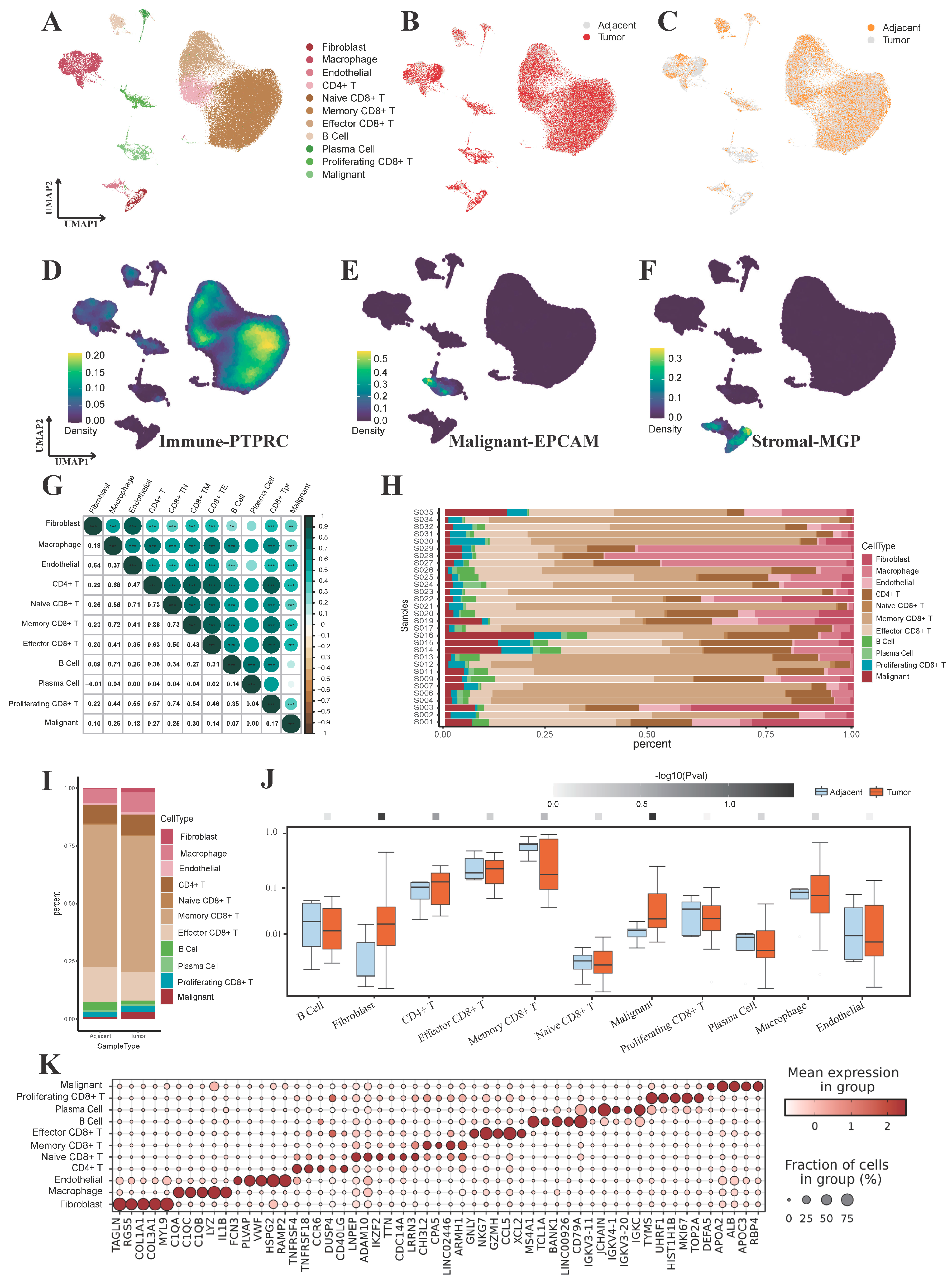 Genes 15 00755 g002