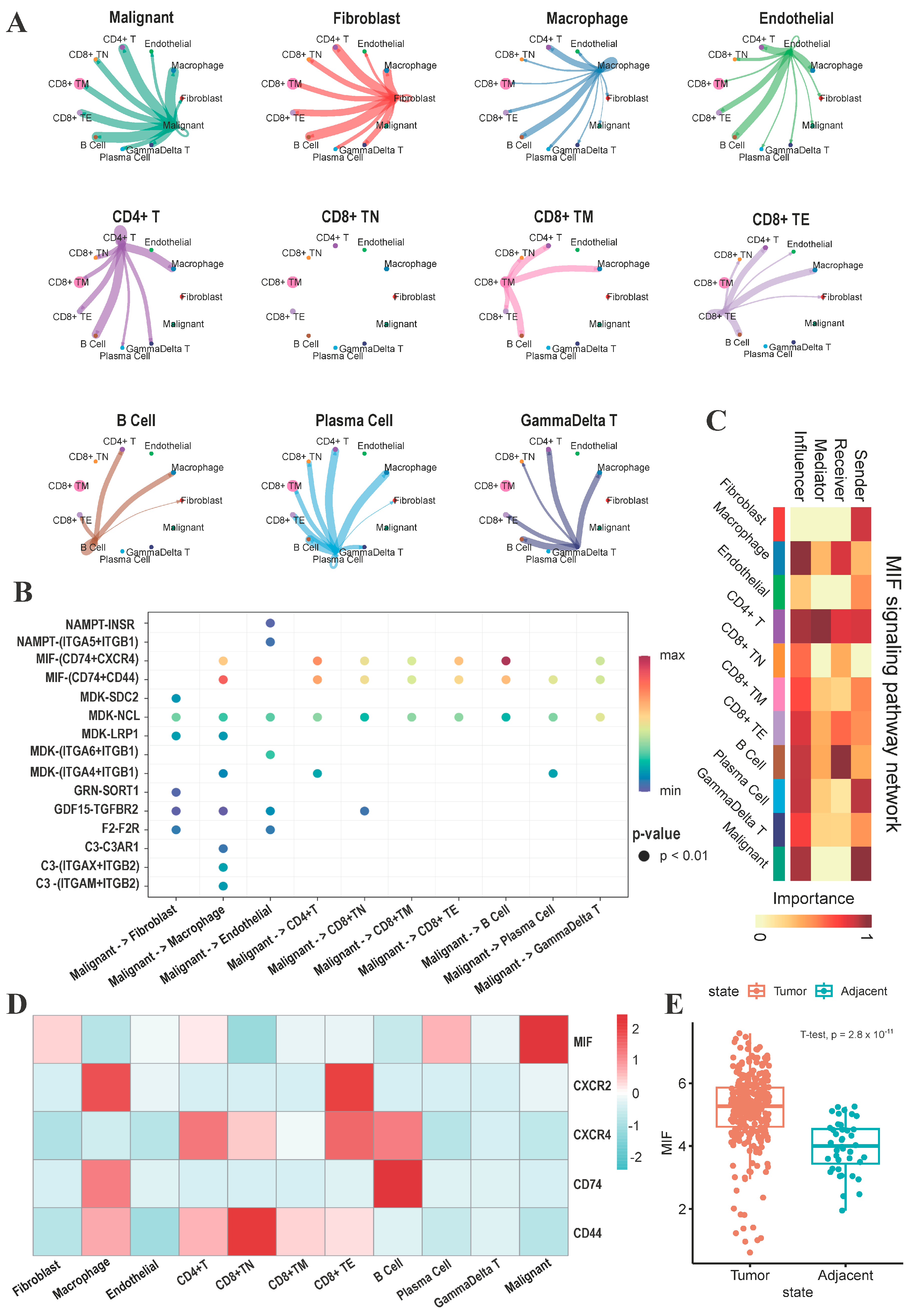 Genes 15 00755 g005