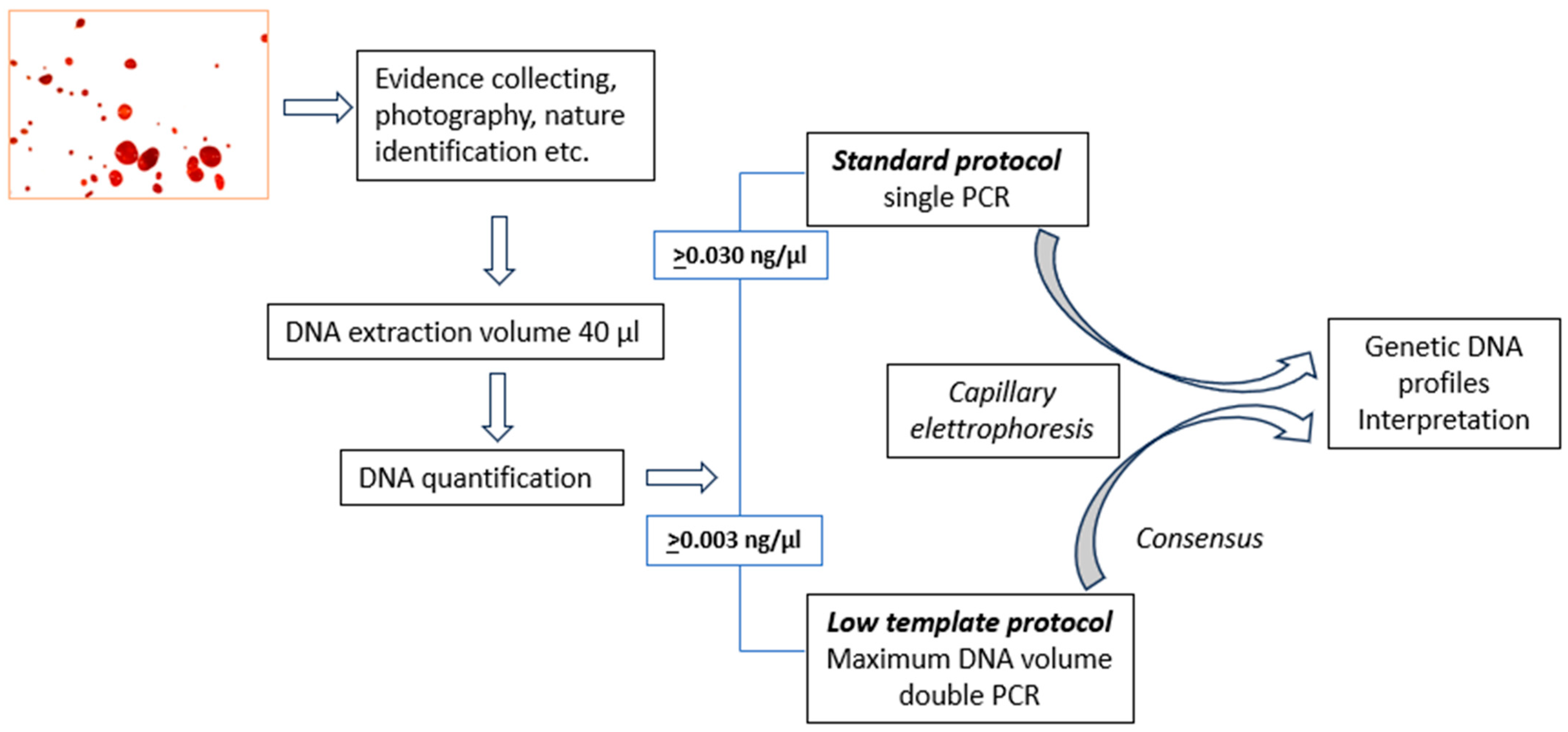 Genes 15 00759 g001