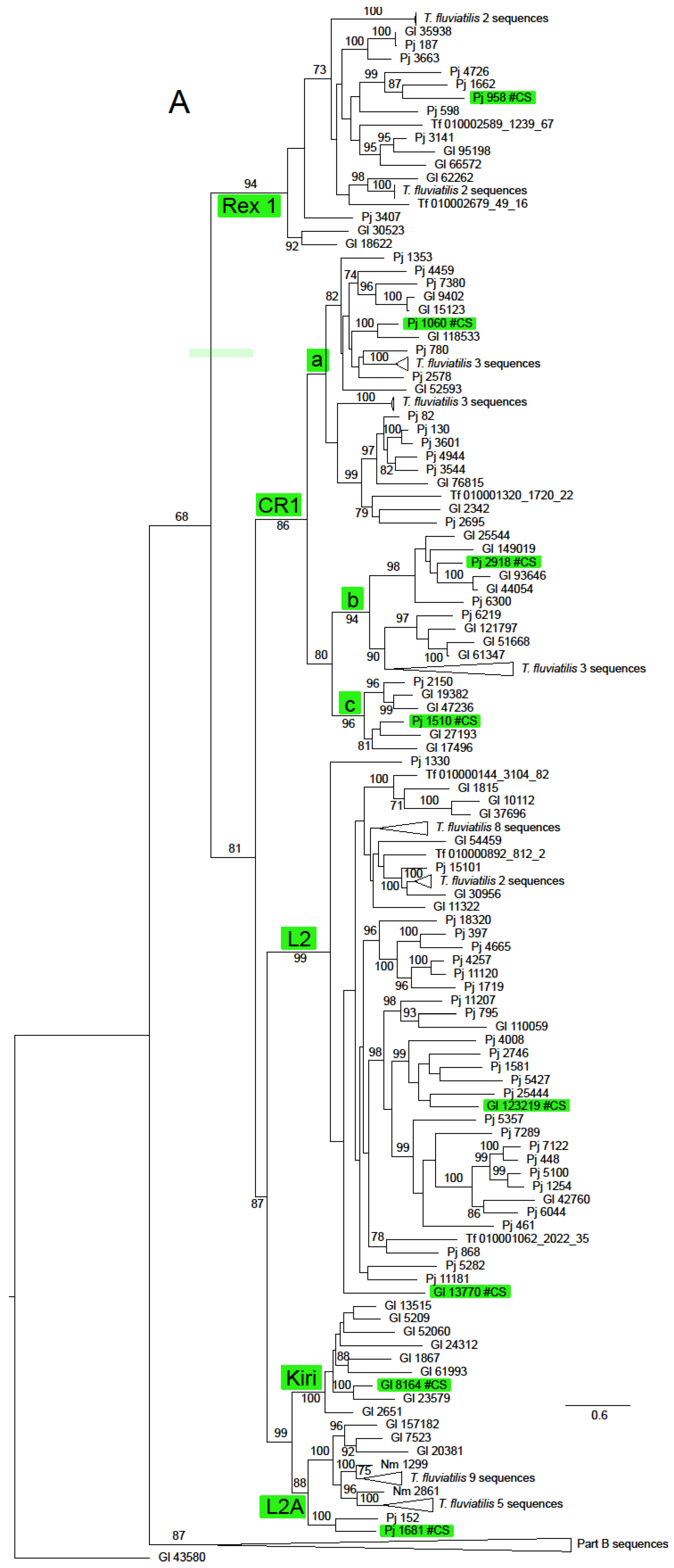 Genes 15 00783 g002a