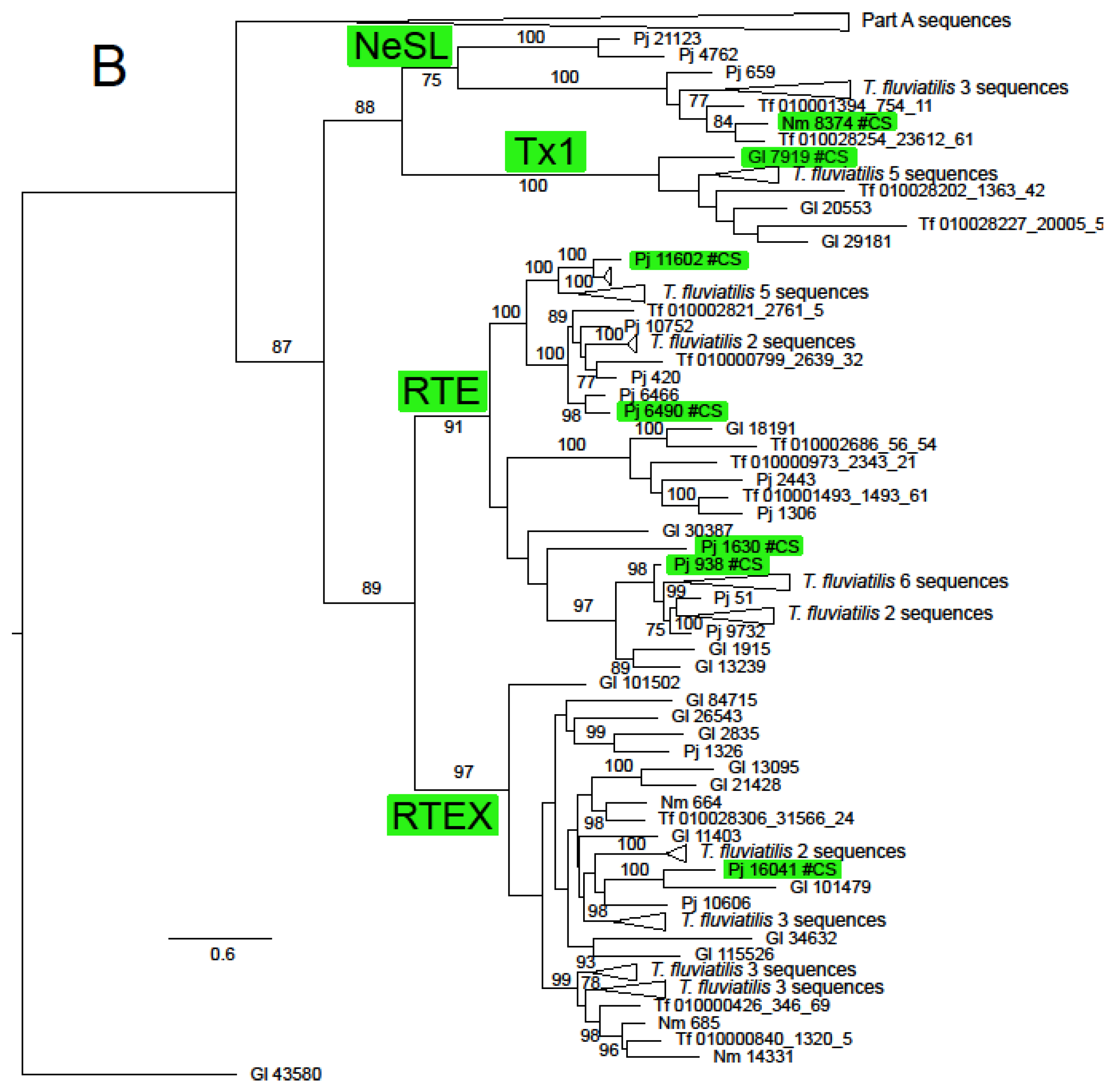 Genes 15 00783 g002b