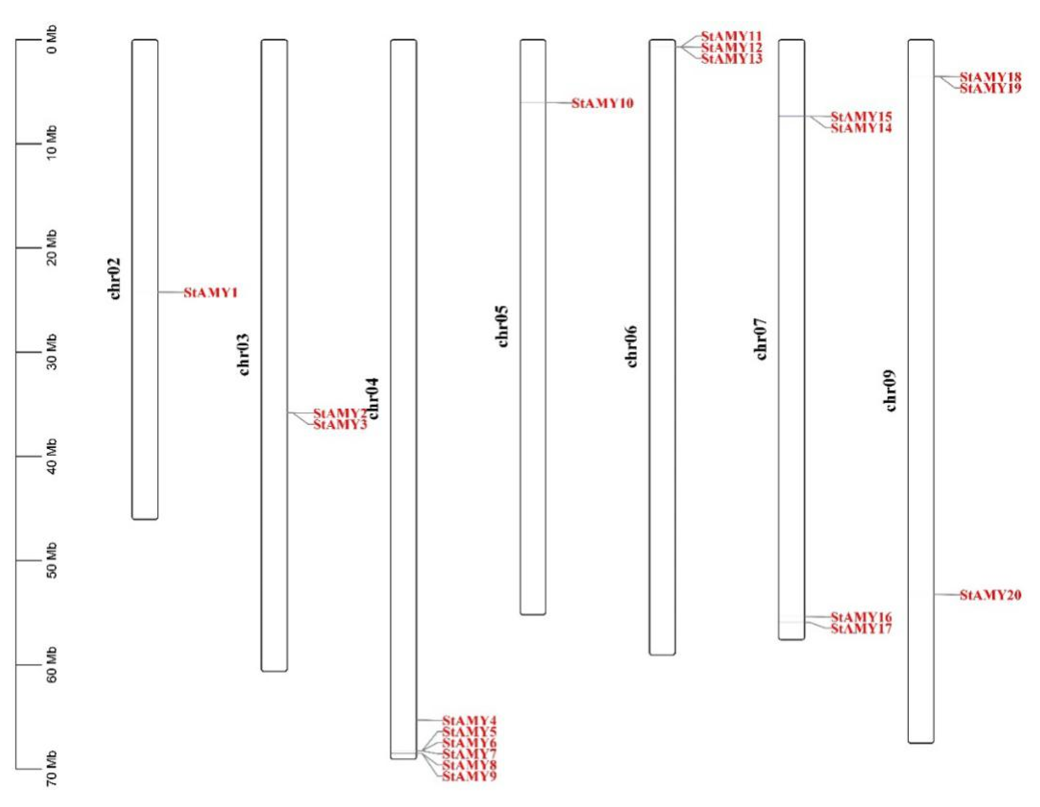 Genome-Wide Identification and Expression Profiling of the α-Amylase ...