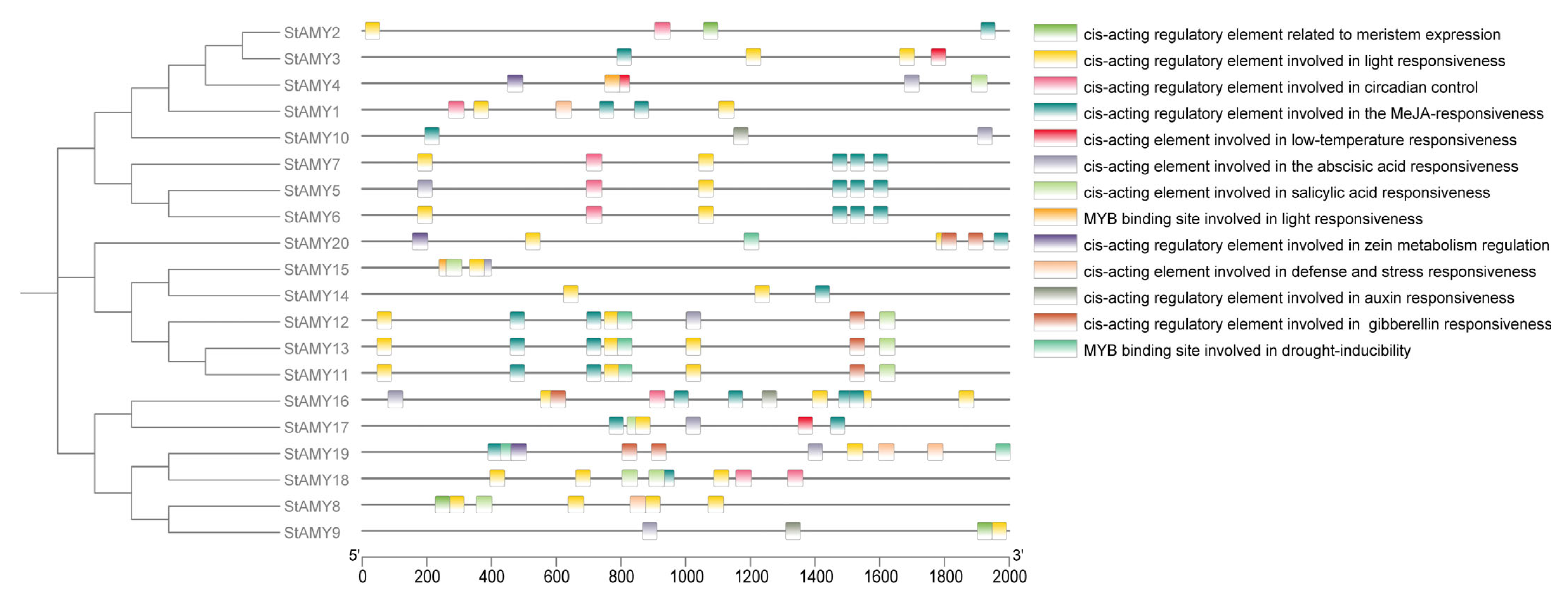 Genome-Wide Identification and Expression Profiling of the α-Amylase ...