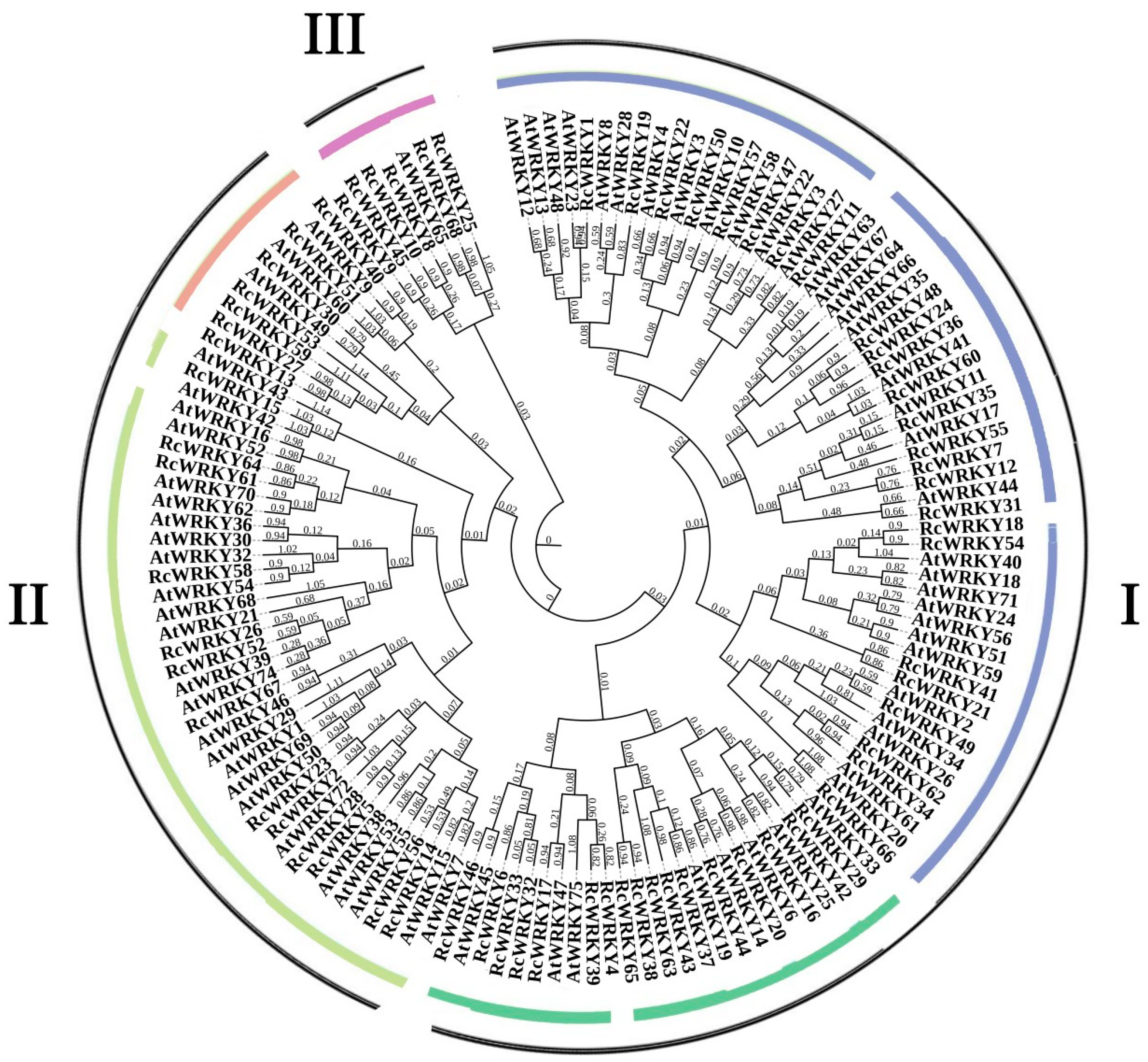 Genes 15 00800 g001