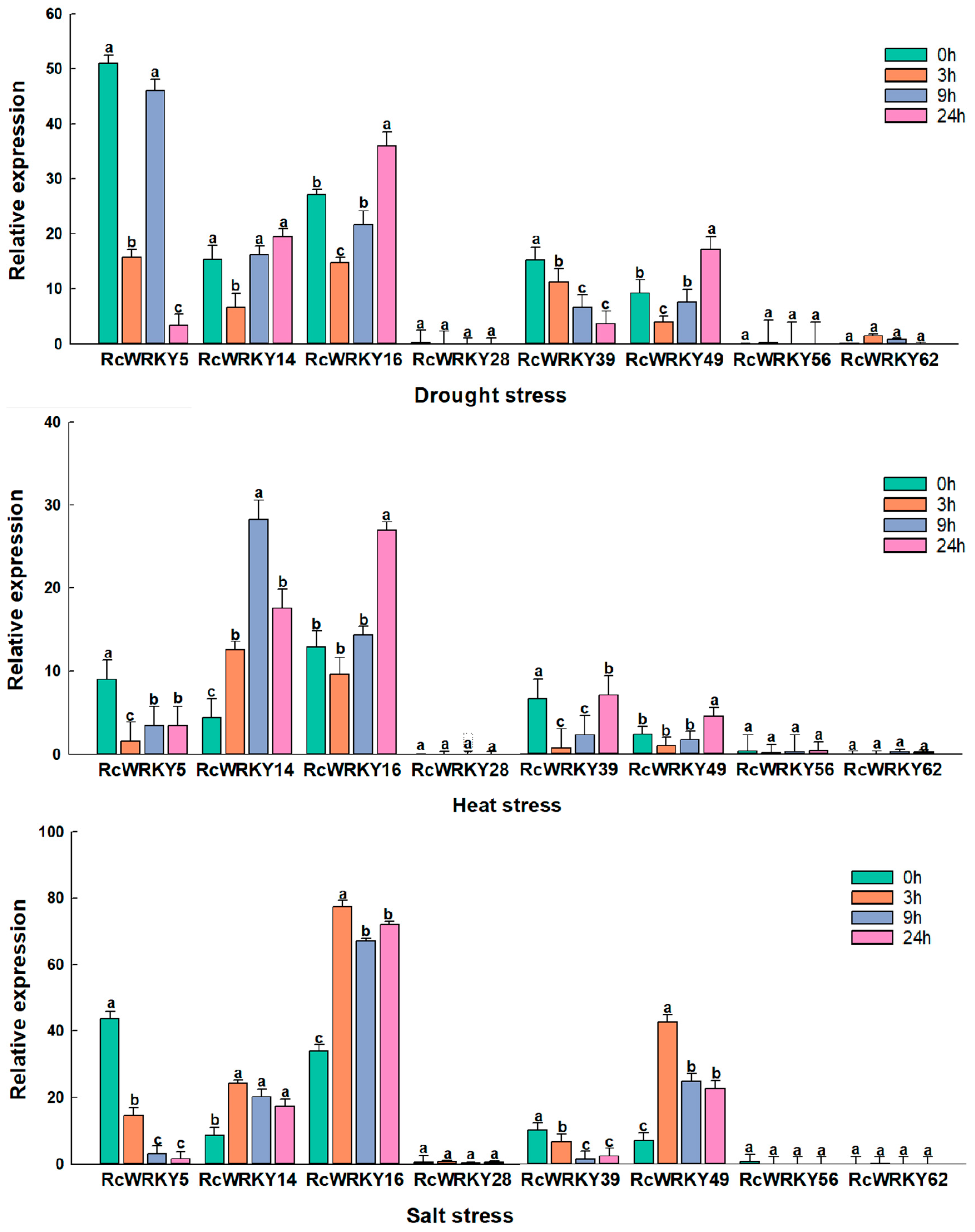 Genes 15 00800 g008