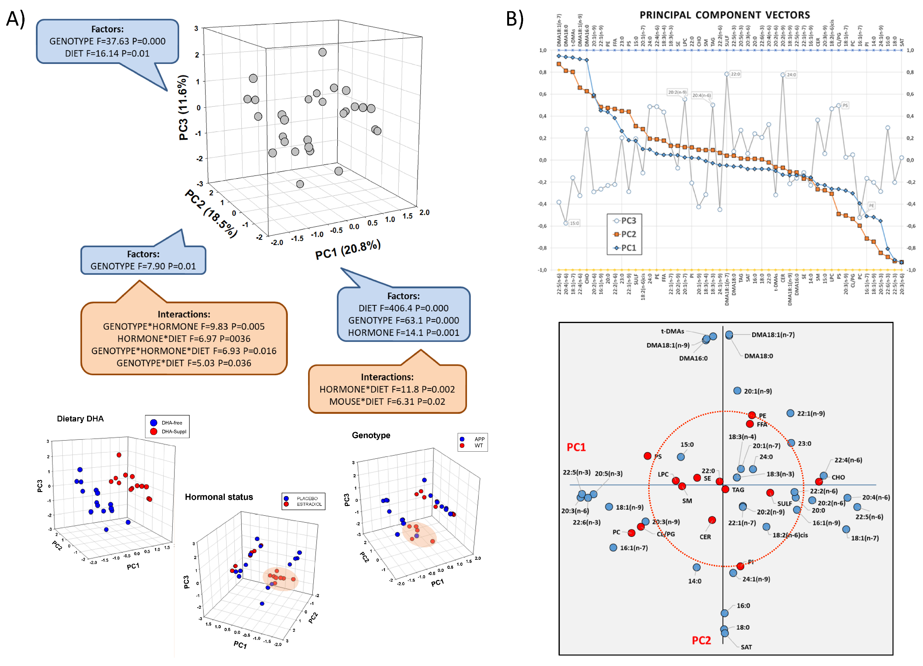 Genes 15 00810 g001
