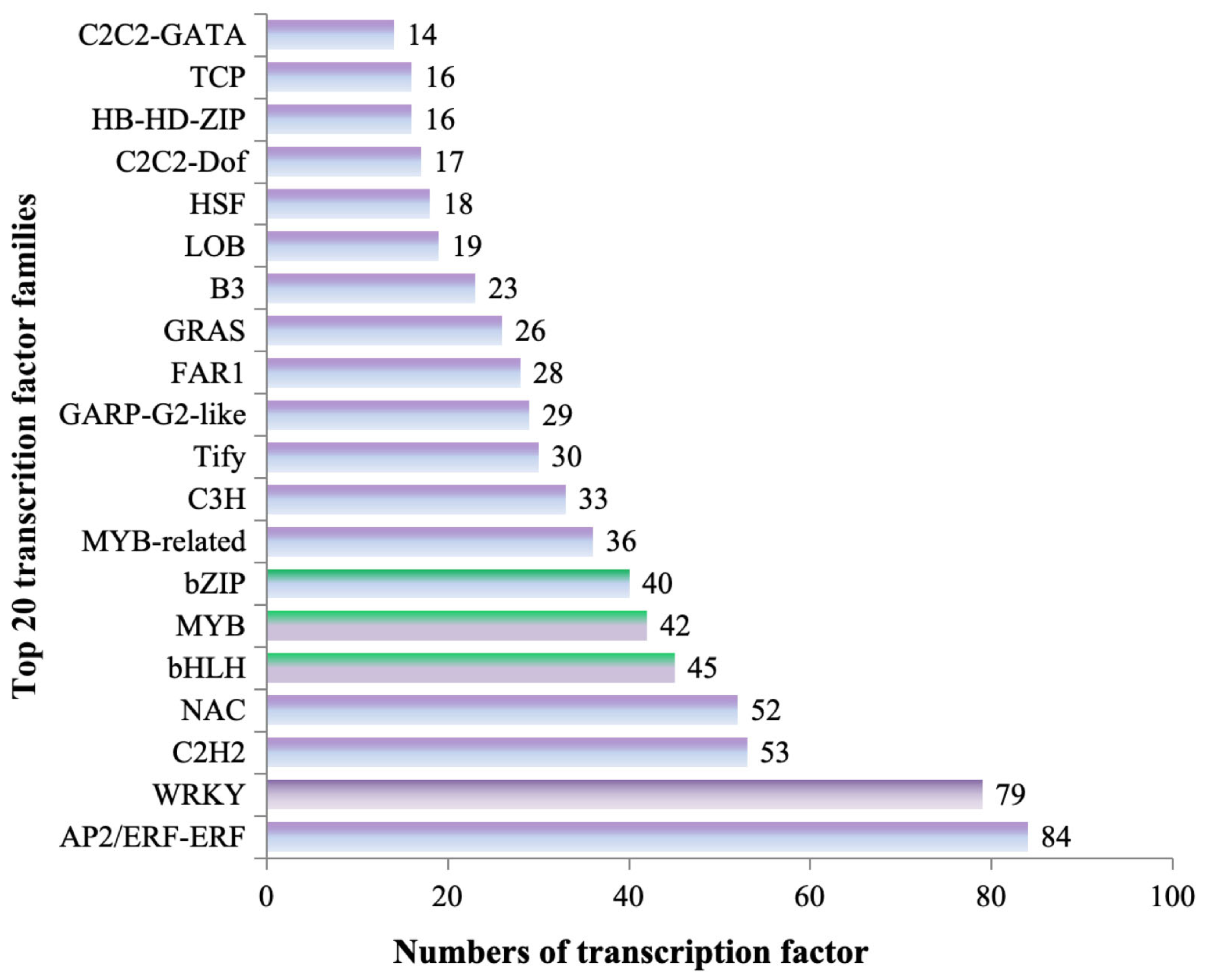 Genes 15 00828 g006