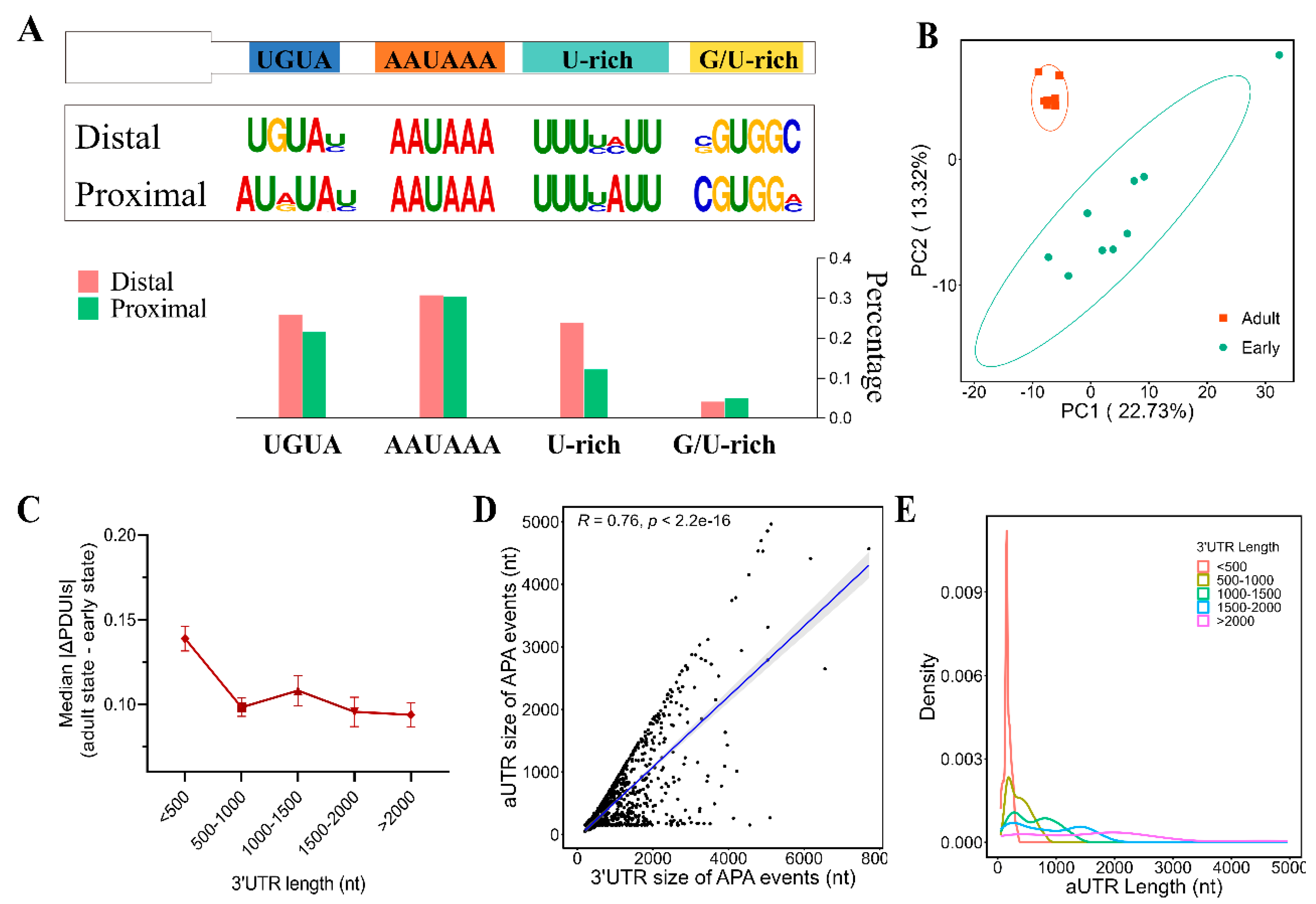 Genes 15 00837 g002