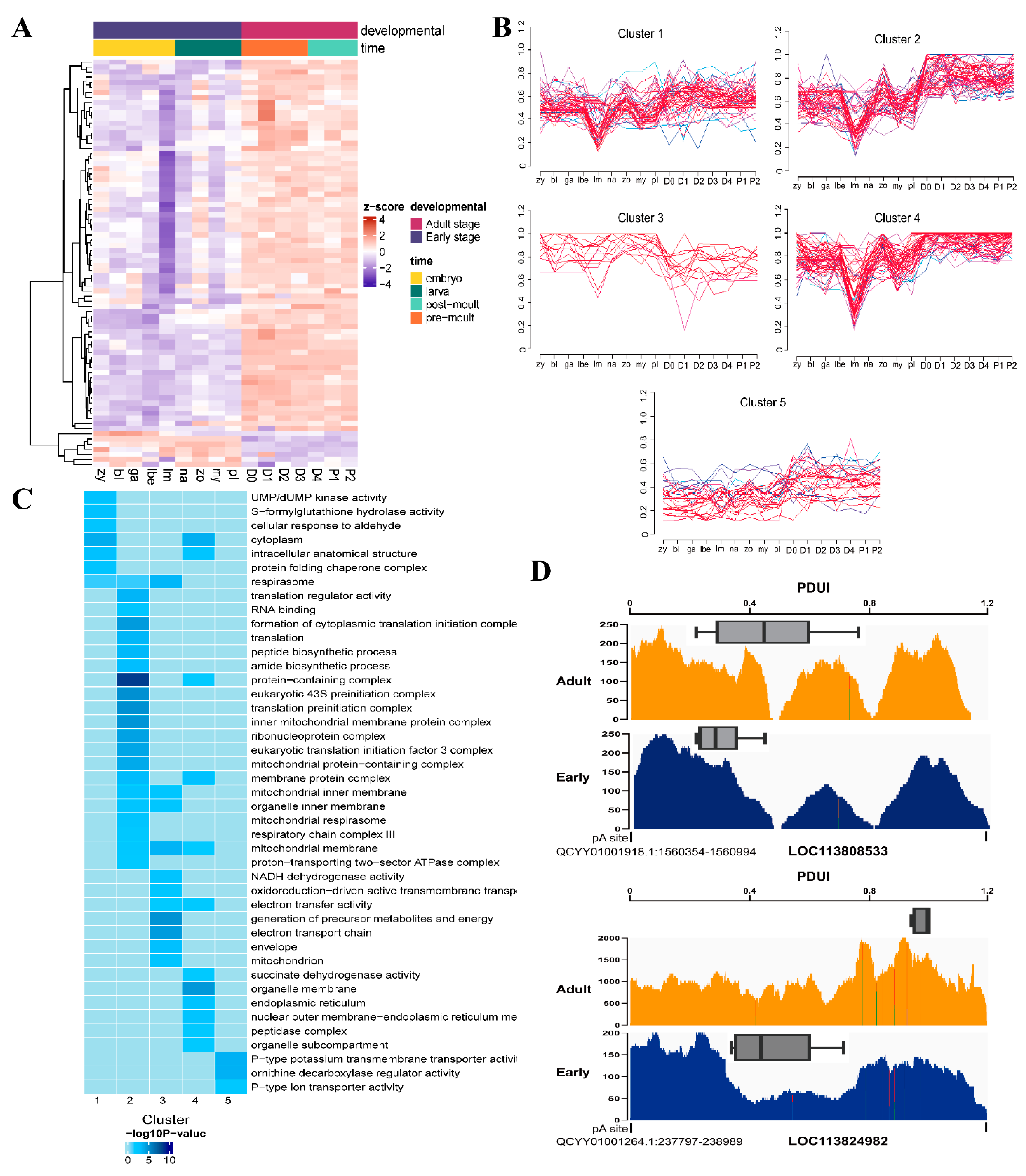 Genes 15 00837 g004