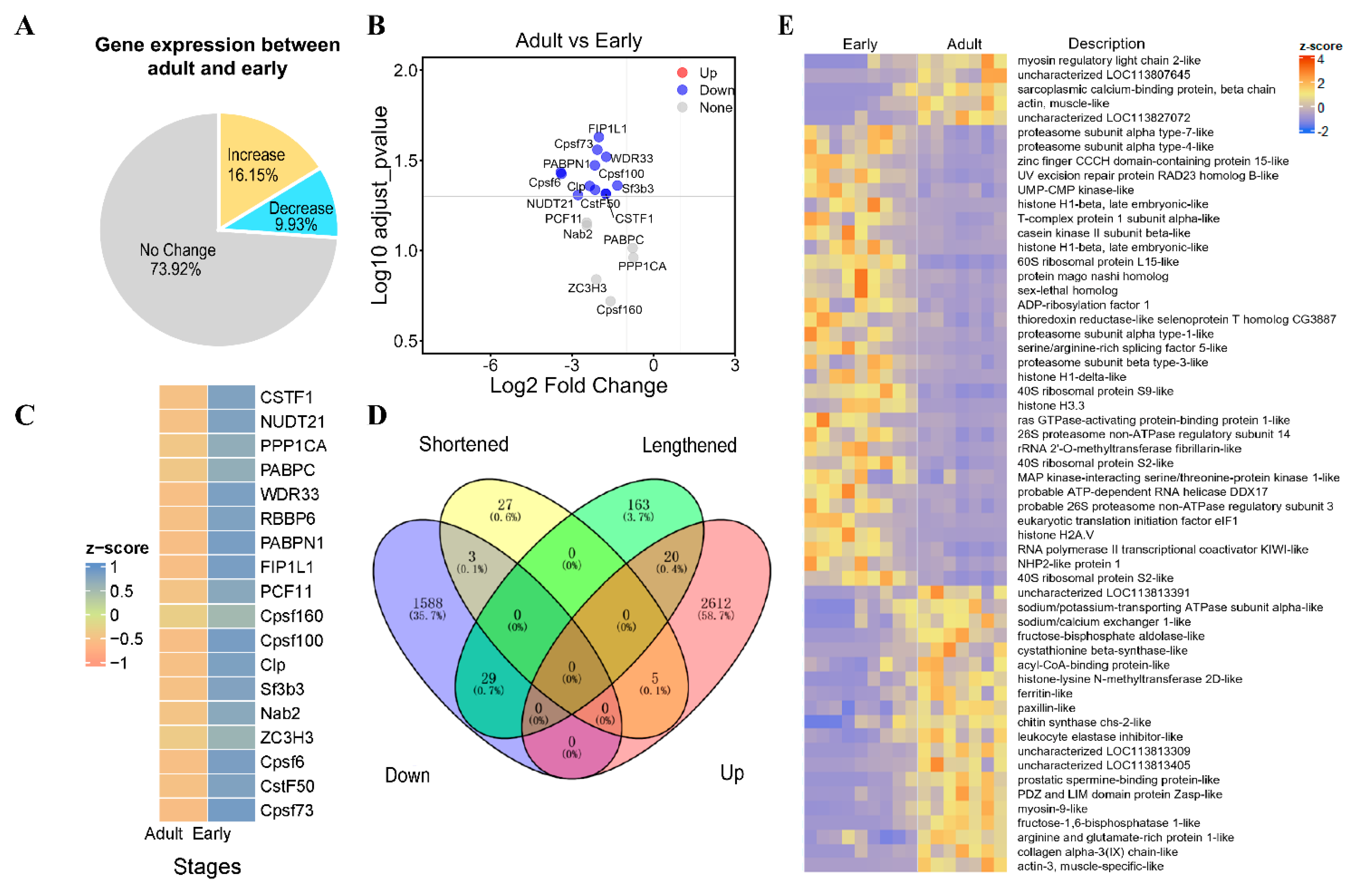 Genes 15 00837 g005