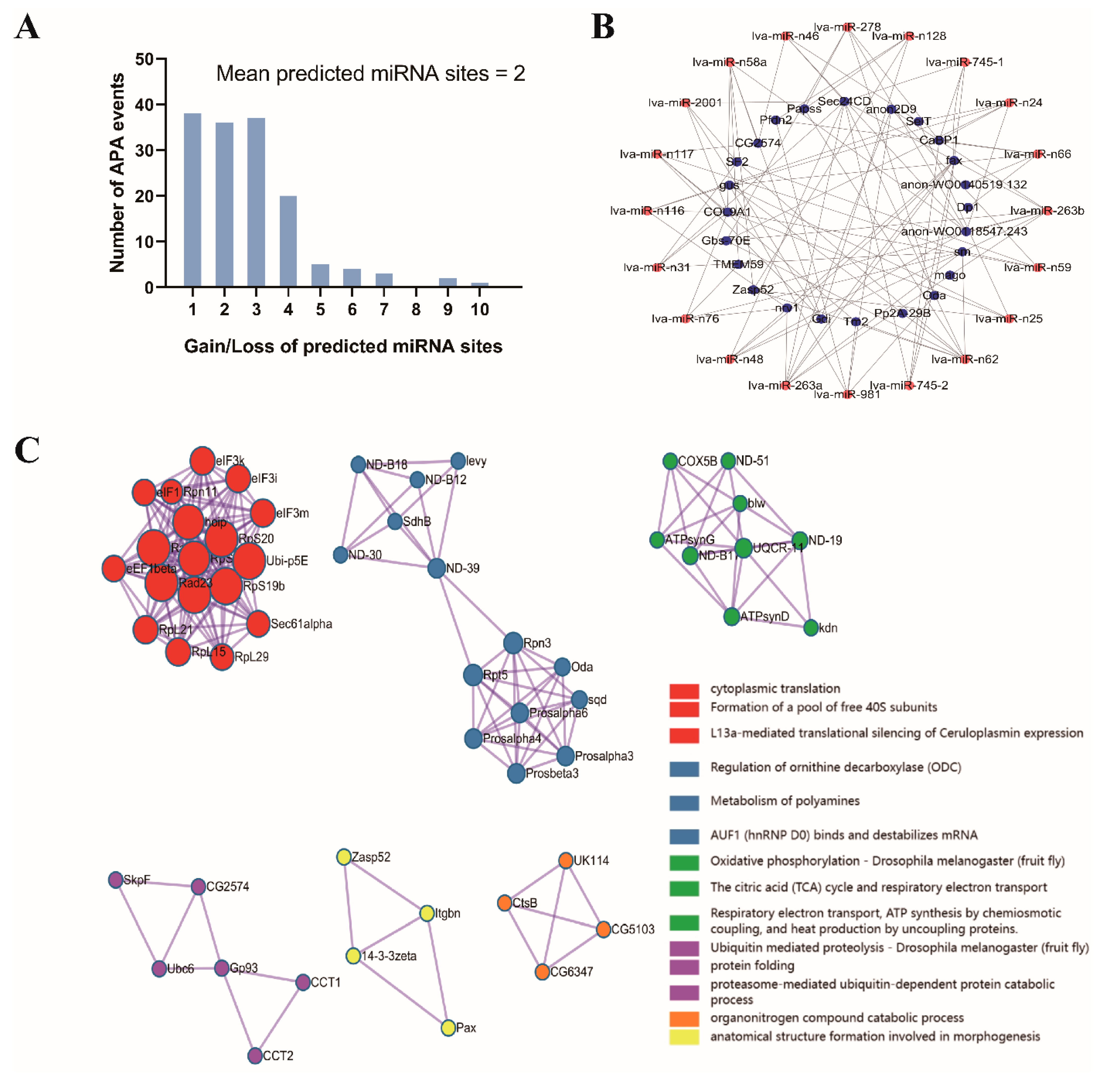 Genes 15 00837 g006