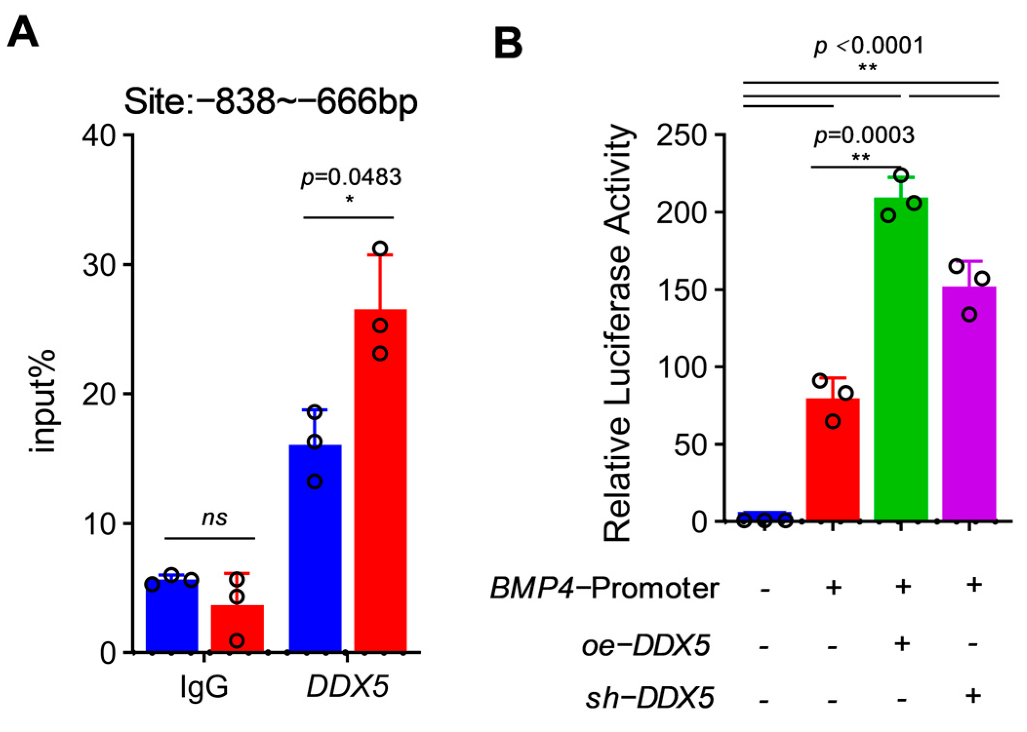 Genes 15 00841 g005