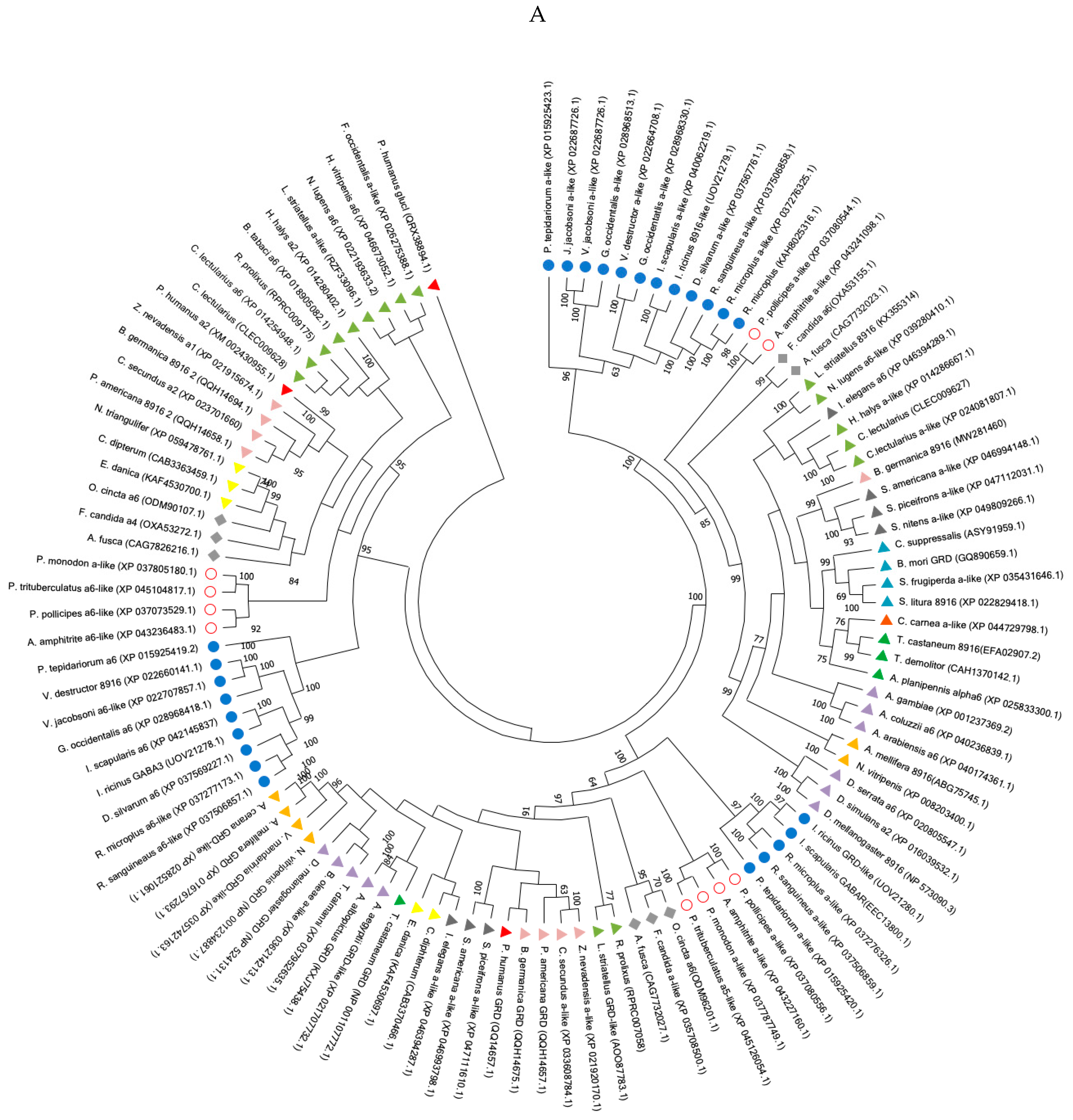 Genes 15 00844 g003a