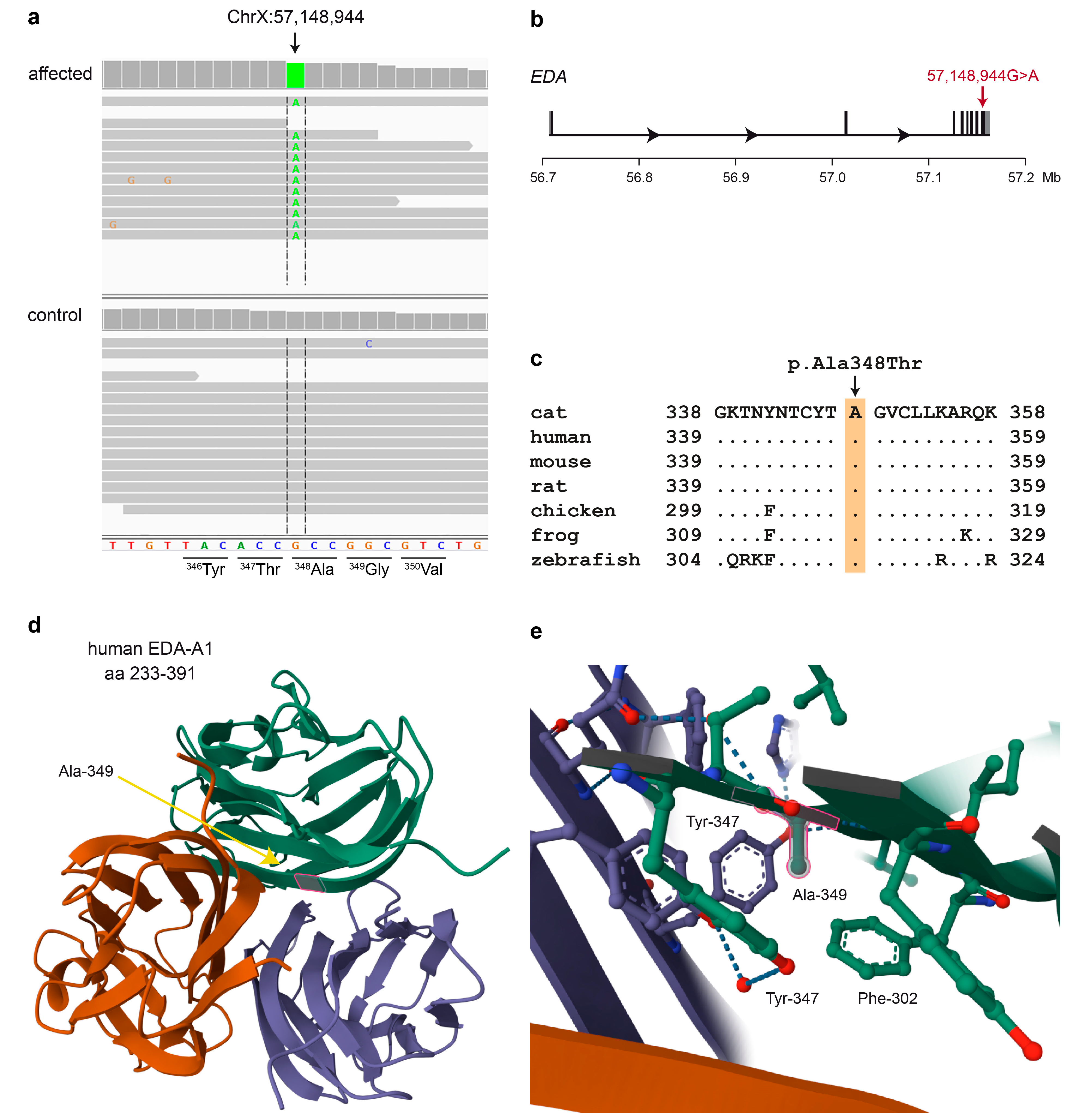 Genes 15 00854 g003 Genes 15 00854 g003