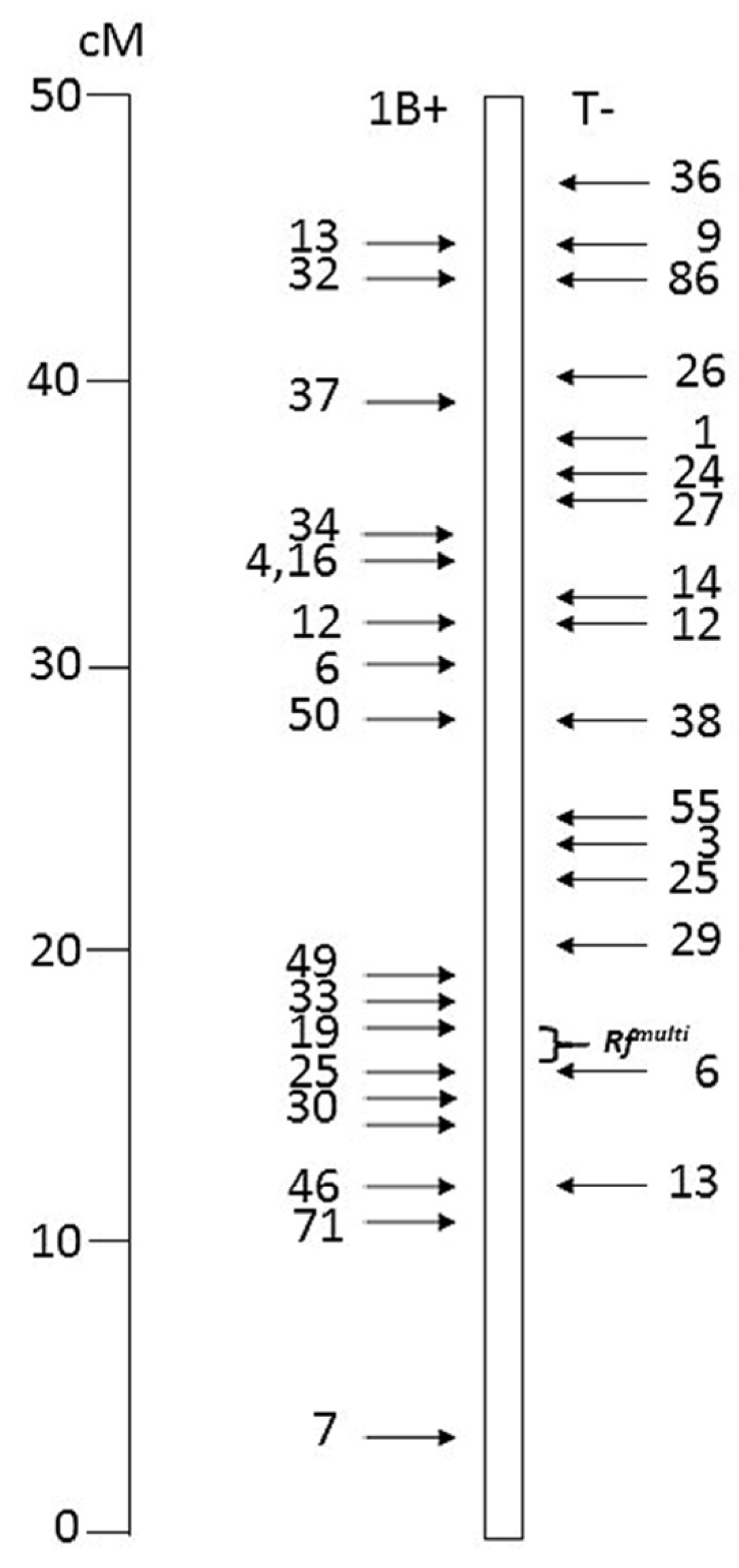 Genes 15 00855 g001 Genes 15 00855 g001
