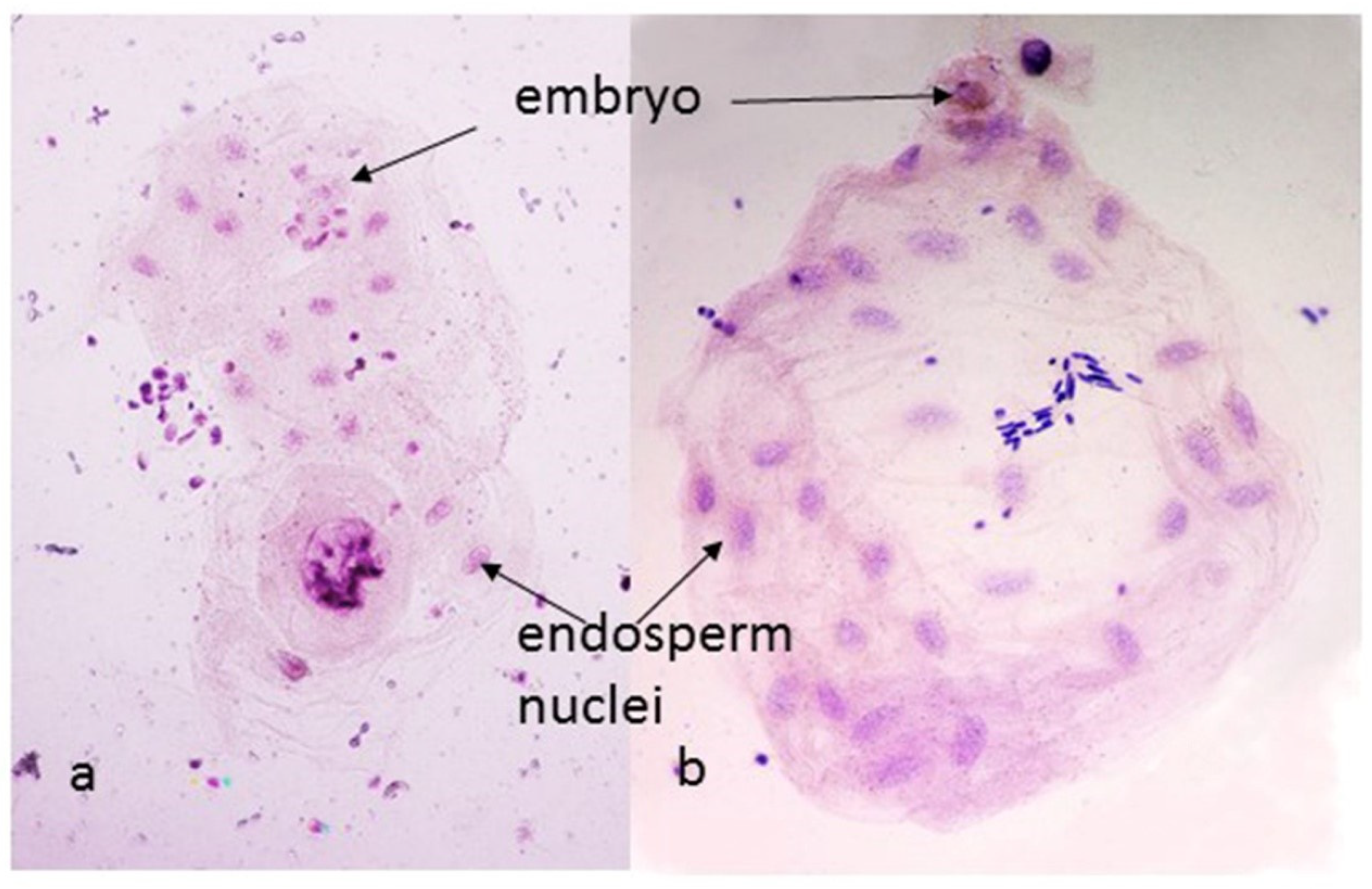 Genes 15 00855 g003 Genes 15 00855 g003