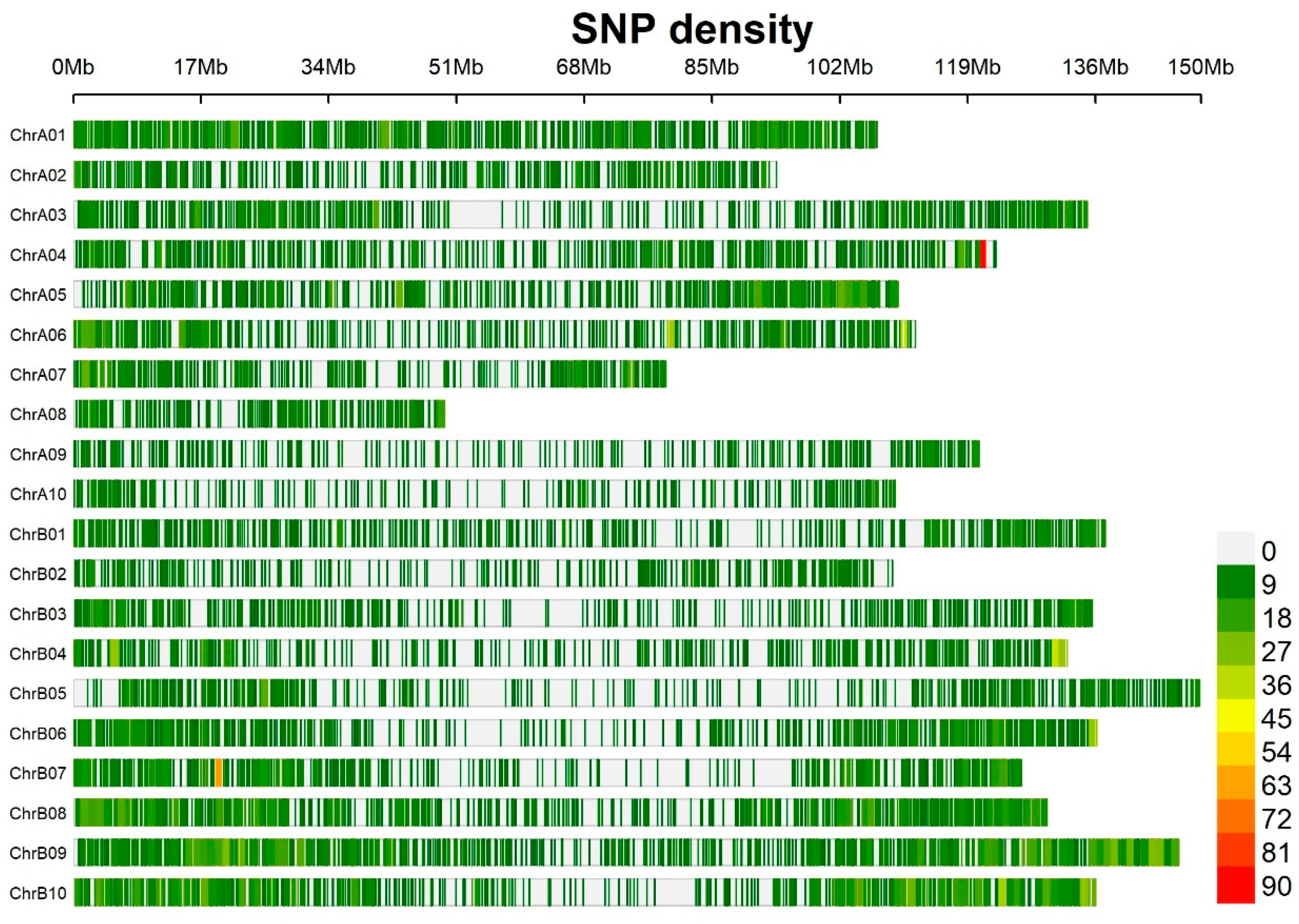 Genes 15 00868 g001